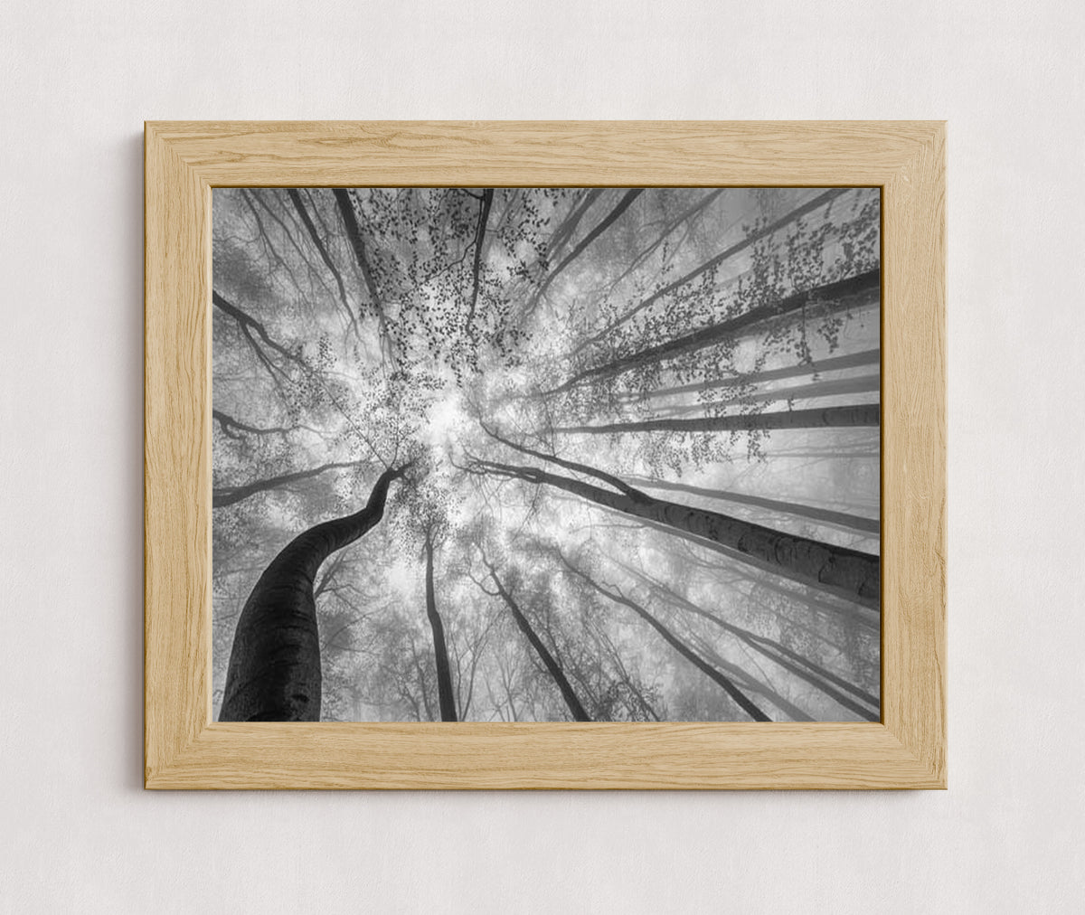 MPPR-WODF-ACRL-0000-20X16-P01-9998-260904-1XXXX2-018301