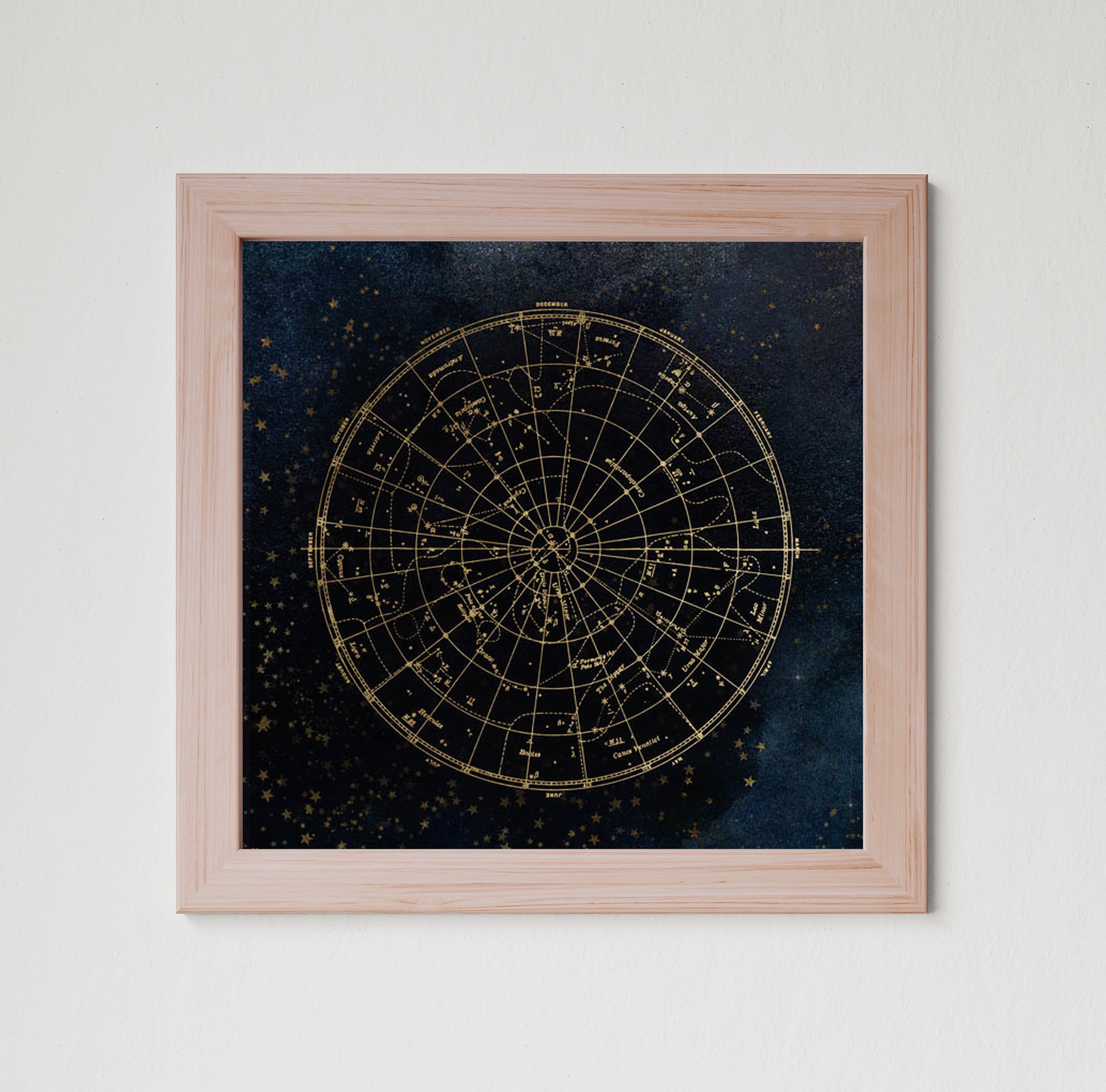 MPPR-WODF-ACRL-0000-20X20-P01-0088-190318-NATMAG-012601.jpg