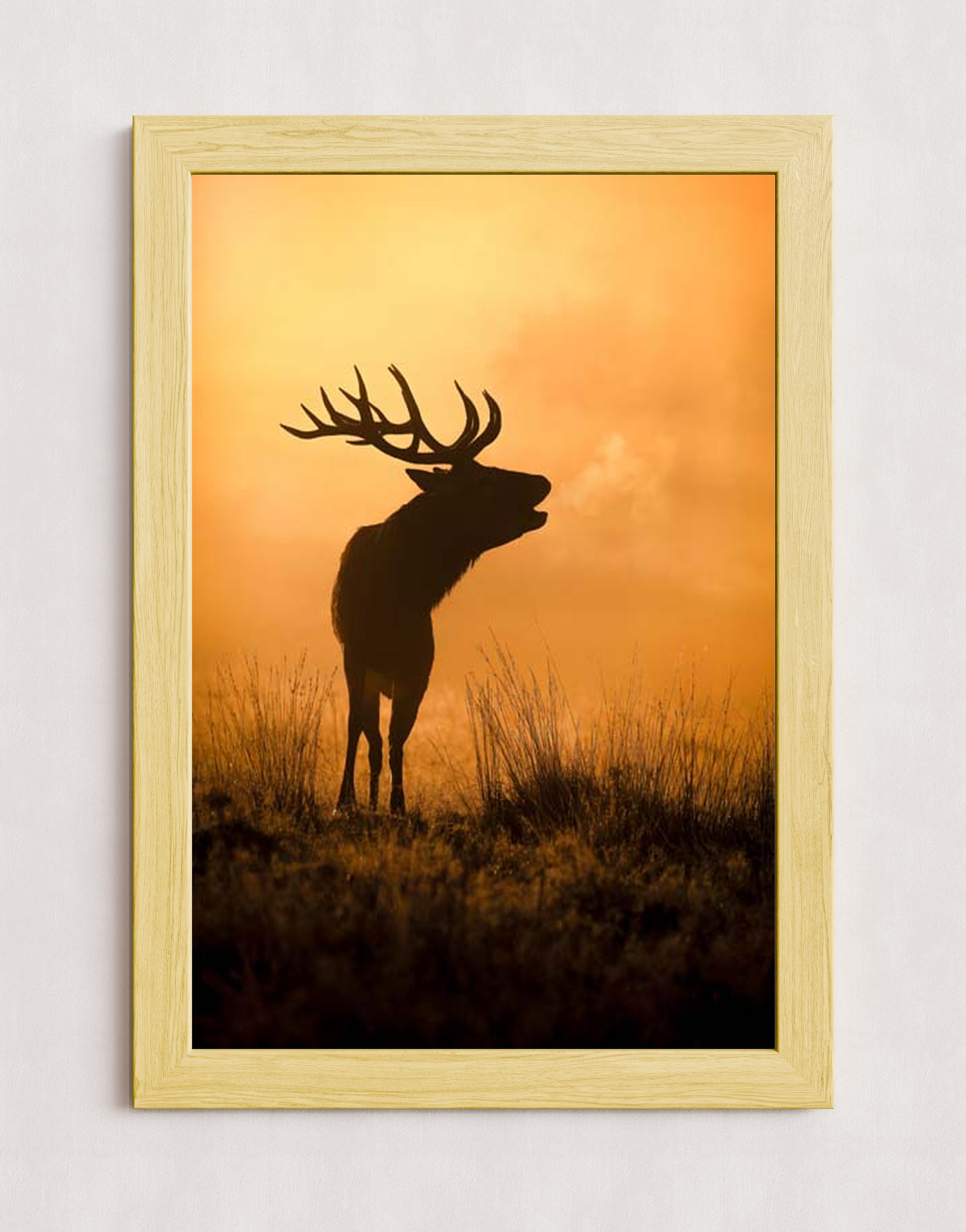 MPPR-WODF-ACRL-0000-20X30-P01-0189-240806-1XXXXX-079401