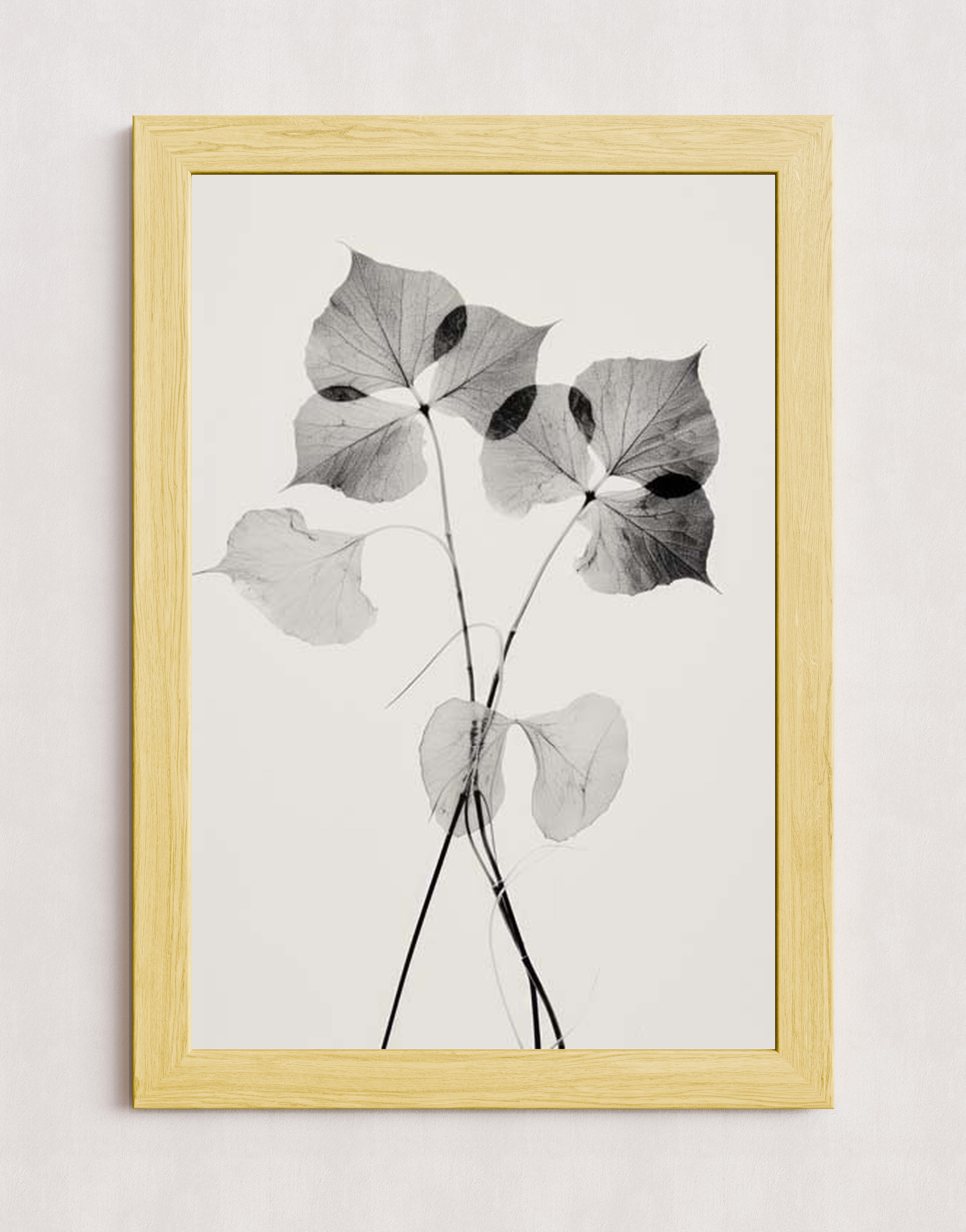 MPPR-WODF-ACRL-0000-20X30-P01-0190-260330-1XXXXX-139801