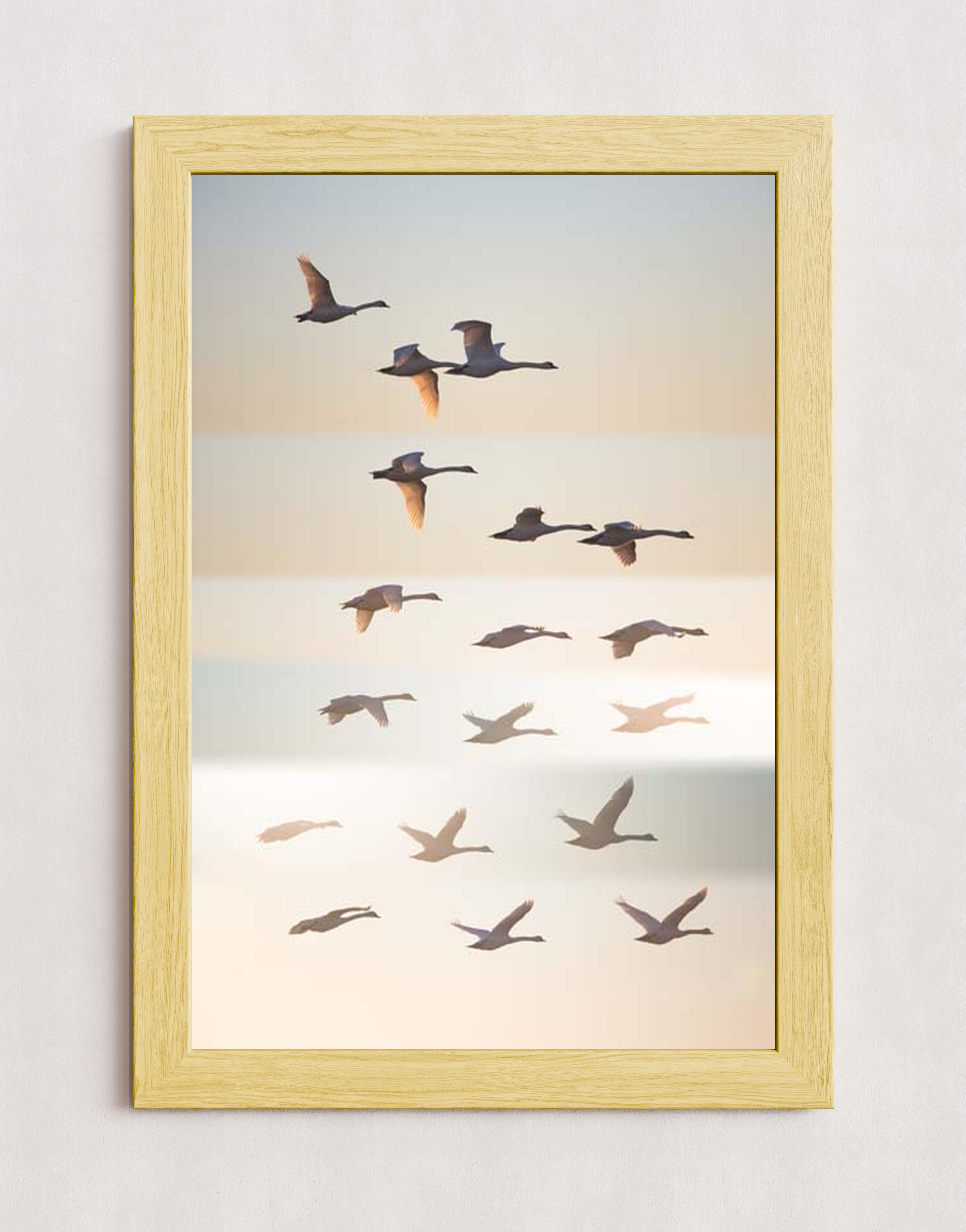 MPPR-WODF-ACRL-0000-20X30-P01-0190-260602-1XXXXX-171501