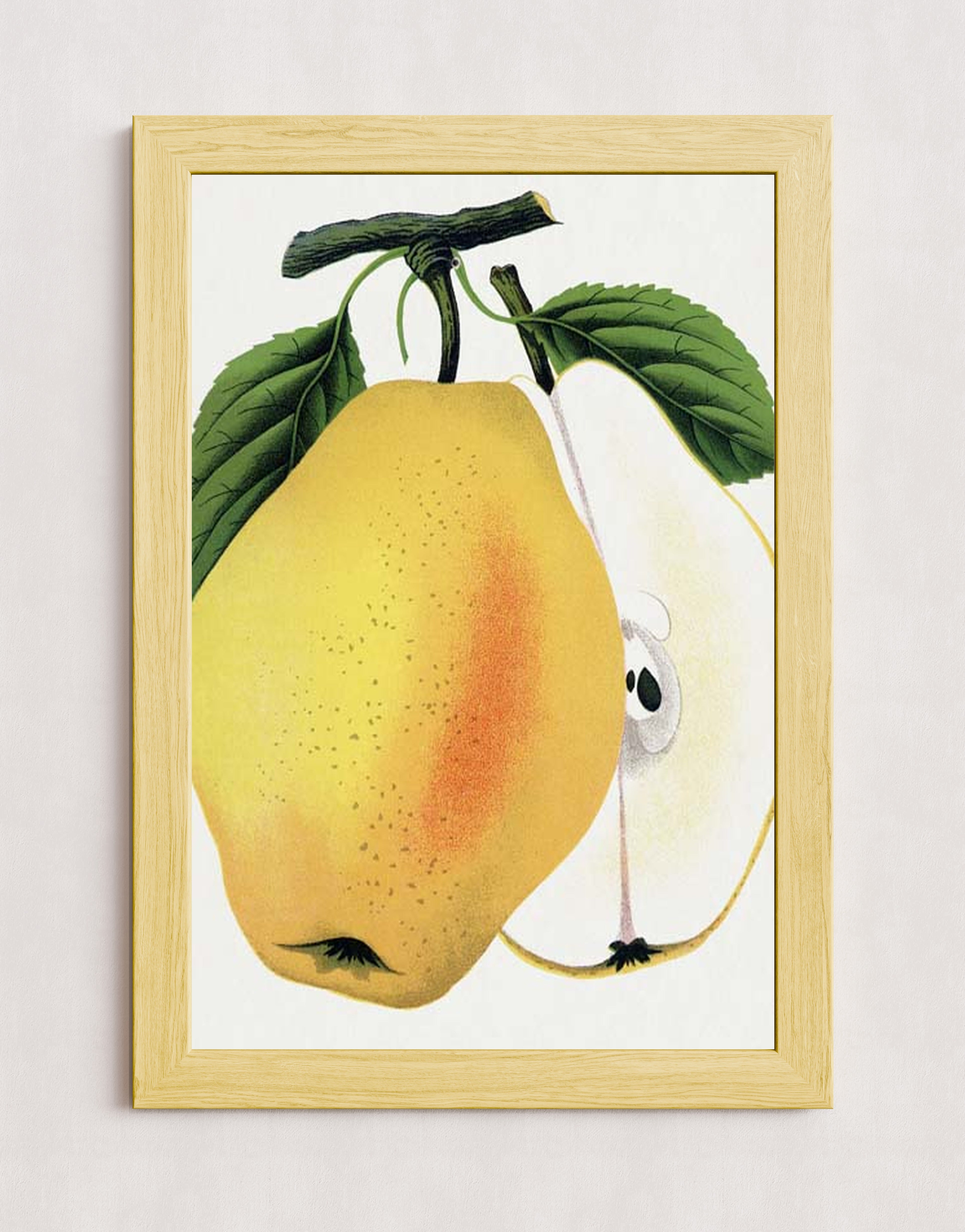 MPPR-WODF-ACRL-0000-20X30-P01-0190-260615-1XXXXX-176901