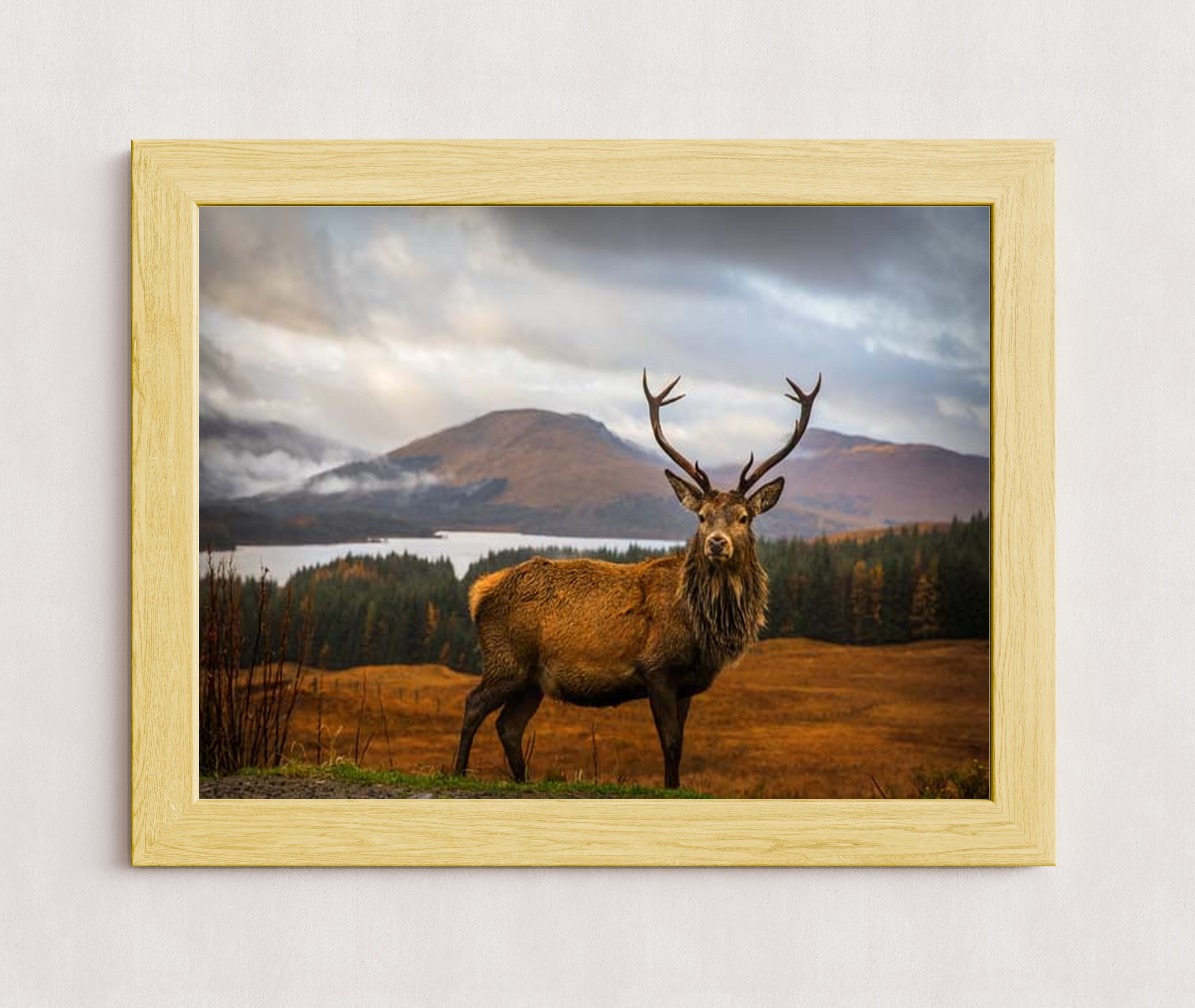 MPPR-WODF-ACRL-0000-24X18-P01-0190-260602-1XXXXX-170401