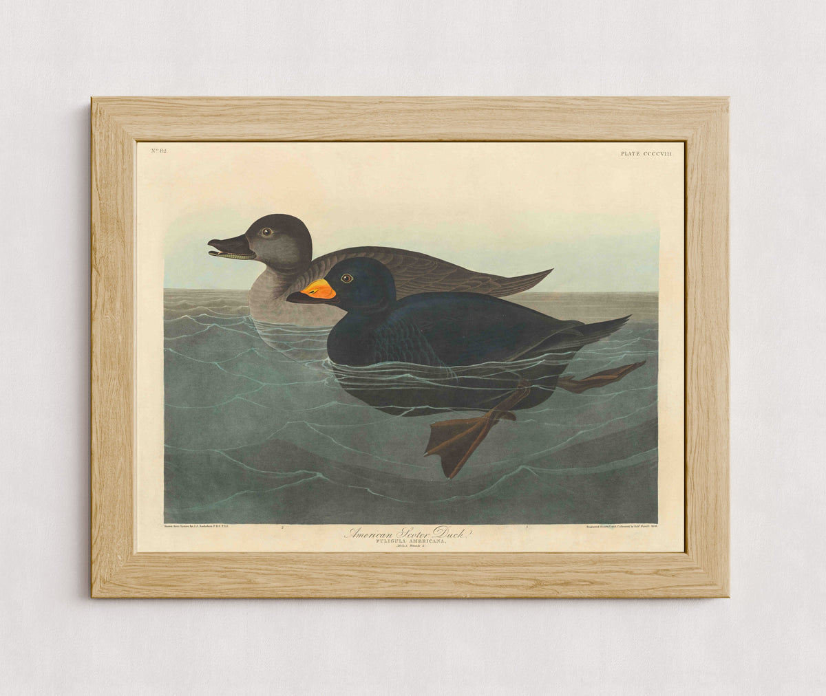 MPPR-WODF-ACRL-0000-24X18-P98-0007-251030A-OPNGAL-000401