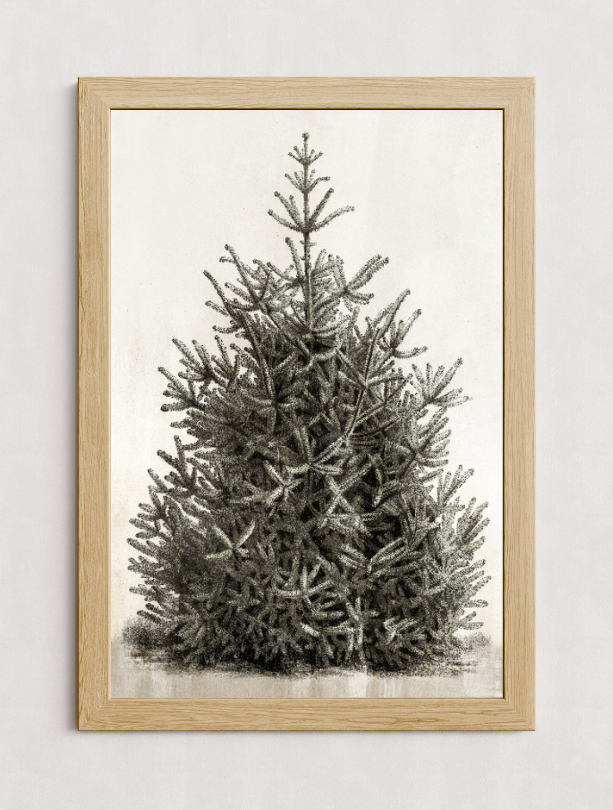 MPPR-WODF-ACRL-0000-24X36-P00-0107-210126-PISTUX-017101