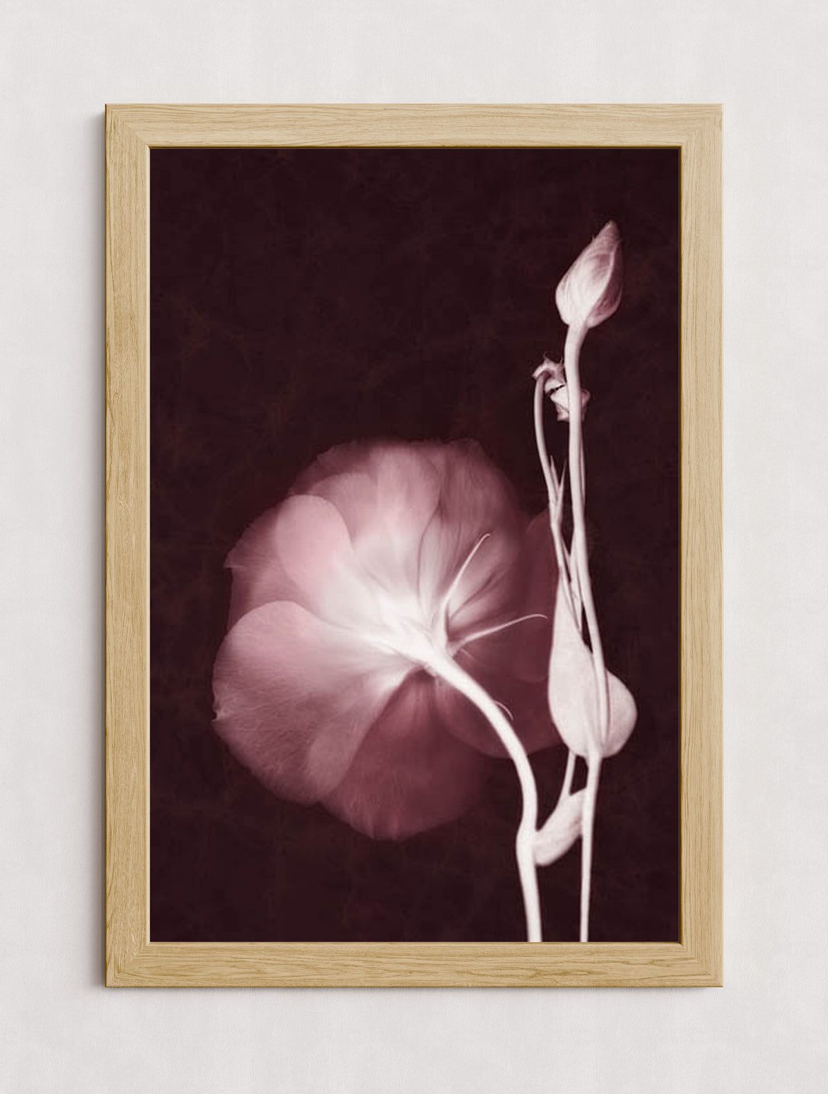 MPPR-WODF-ACRL-0000-24X36-P01-0148-160816-LEDROB-007001