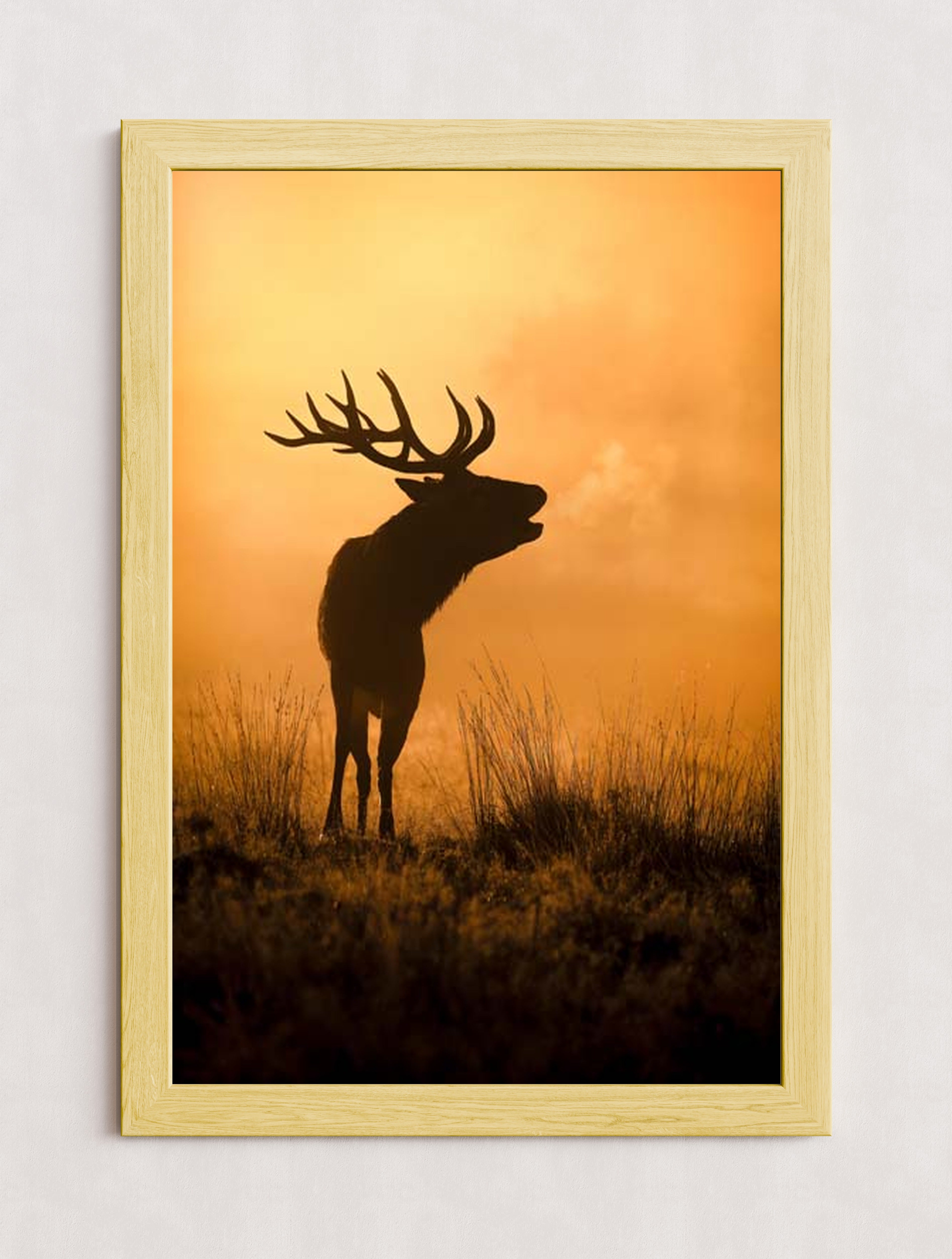 MPPR-WODF-ACRL-0000-24X36-P01-0189-240806-1XXXXX-079401