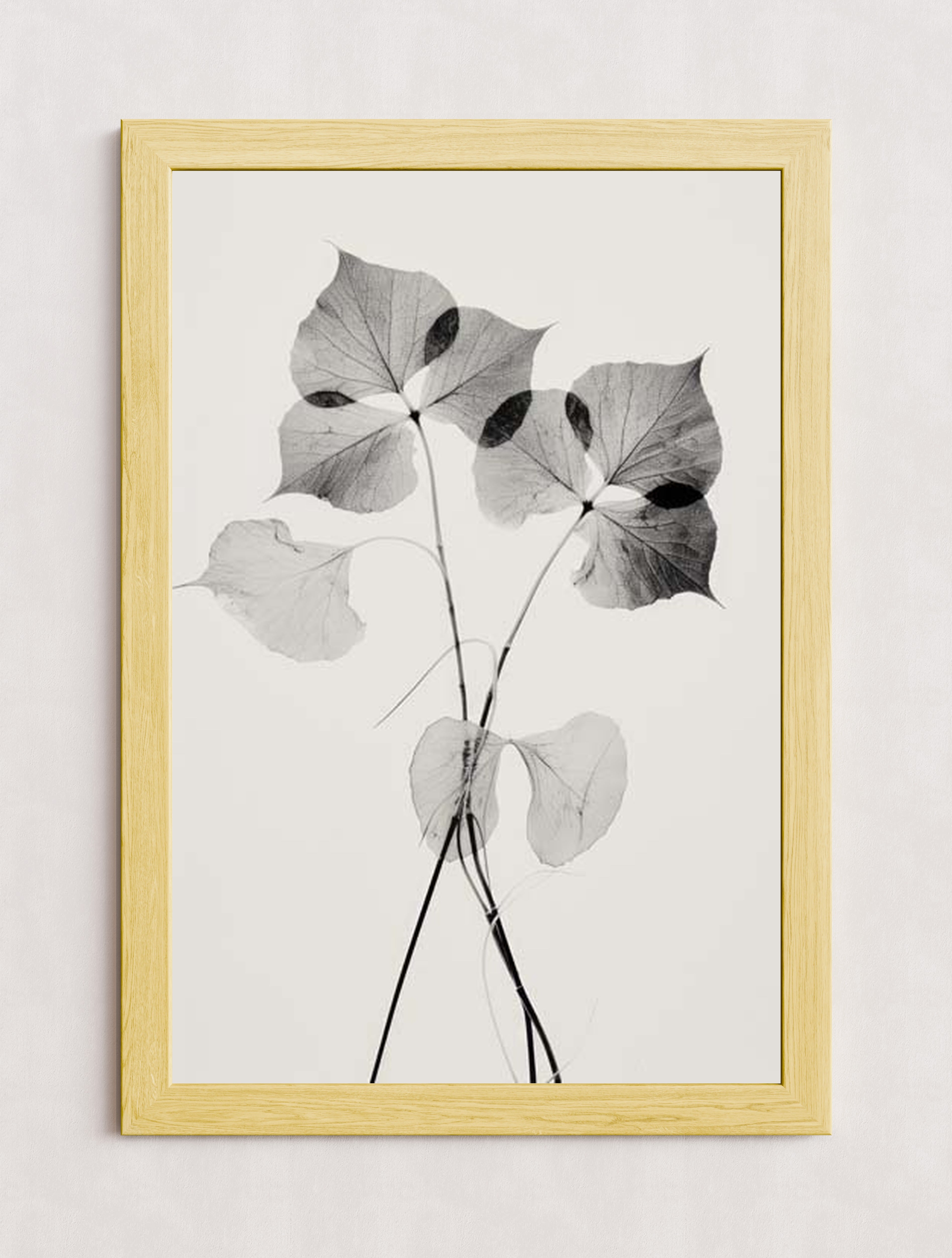 MPPR-WODF-ACRL-0000-24X36-P01-0190-260330-1XXXXX-139801