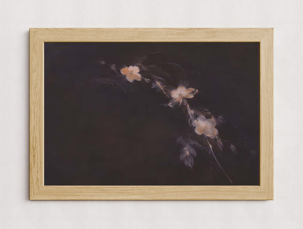 MPPR-WODF-ACRL-0000-30X20-P01-0184-260704-IREORL-061201