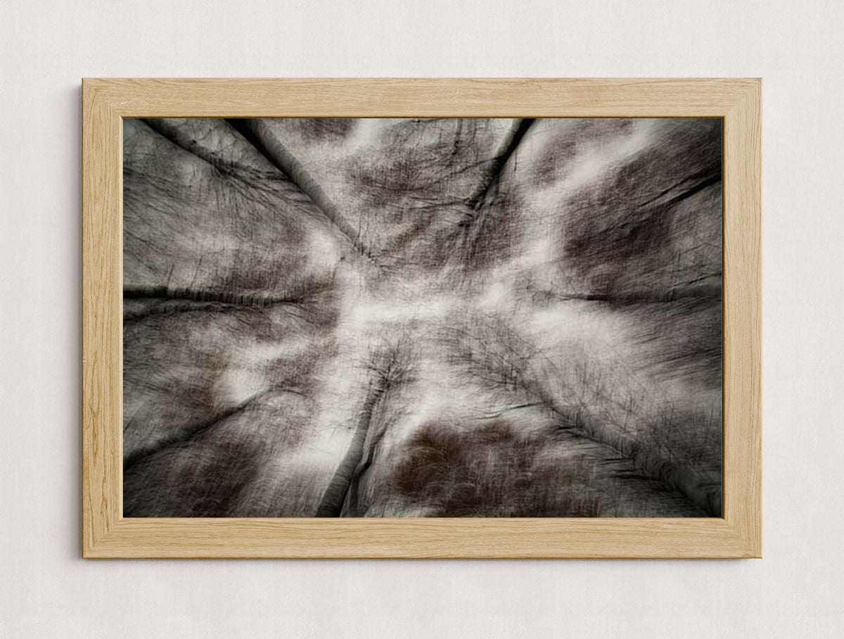 MPPR-WODF-ACRL-0000-30X20-P01-9998-260904-1XXXX2-018801