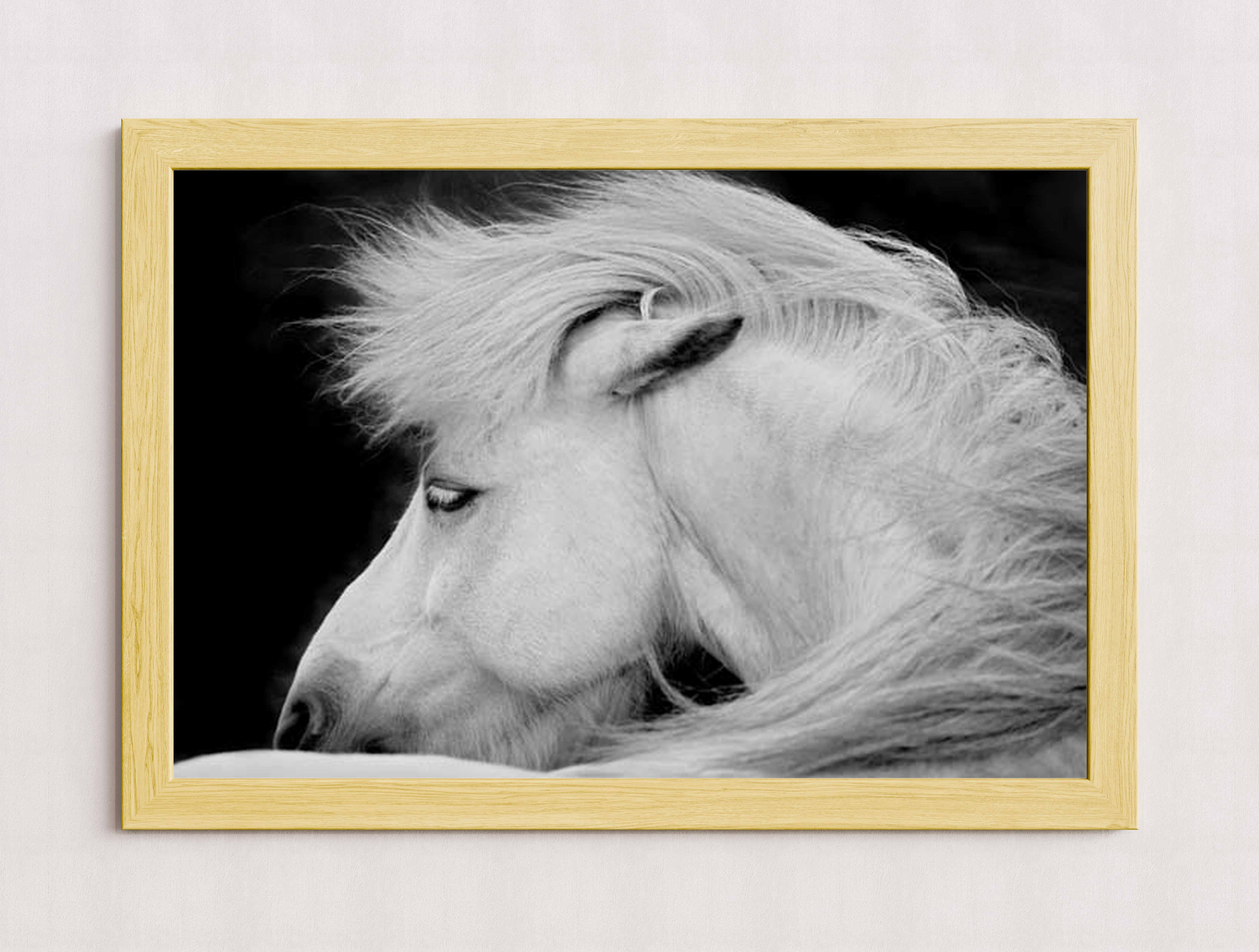 MPPR-WODF-ACRL-0000-36X24-P01-0189-240403-1XXXXX-073101