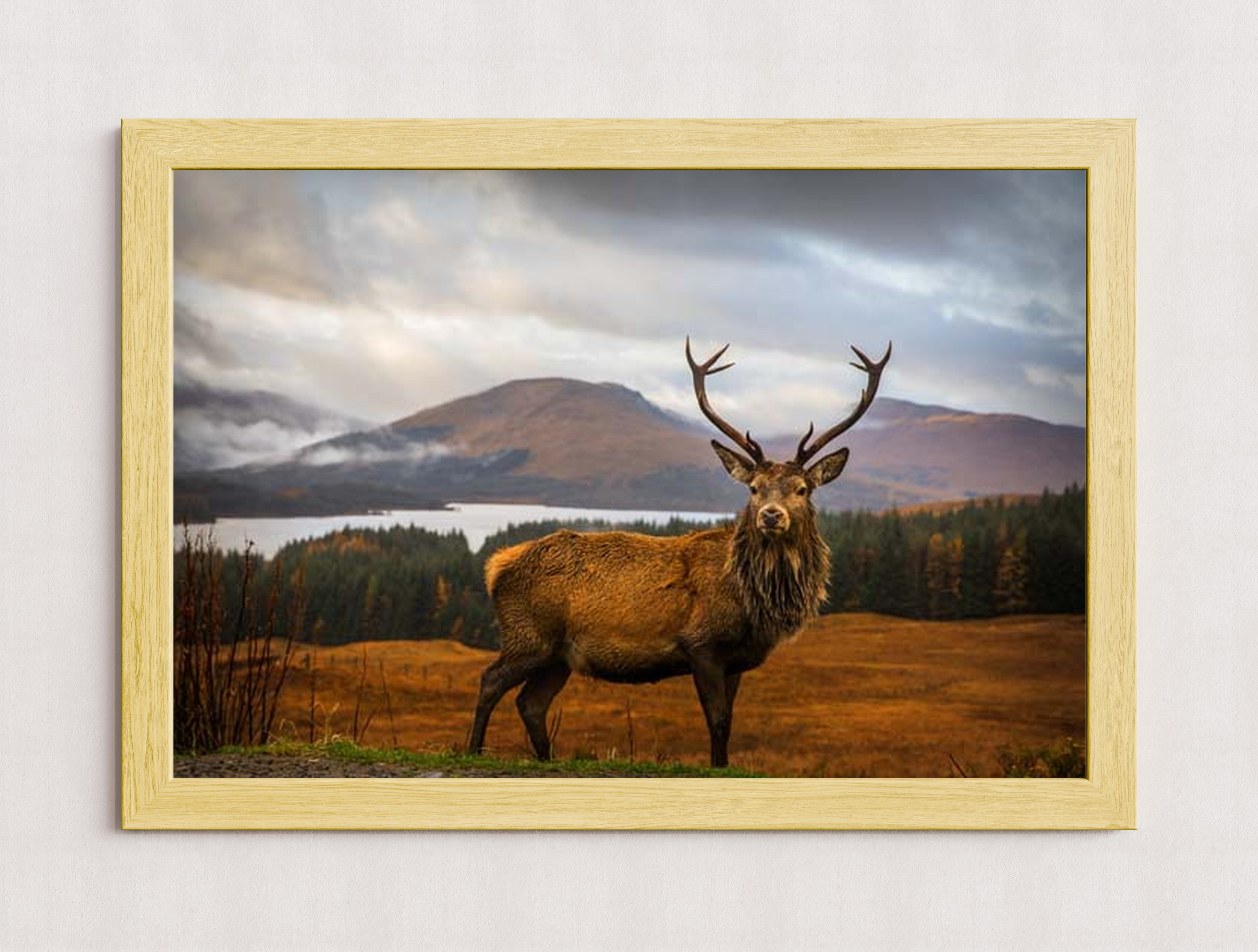 MPPR-WODF-ACRL-0000-36X24-P01-0190-260602-1XXXXX-170401