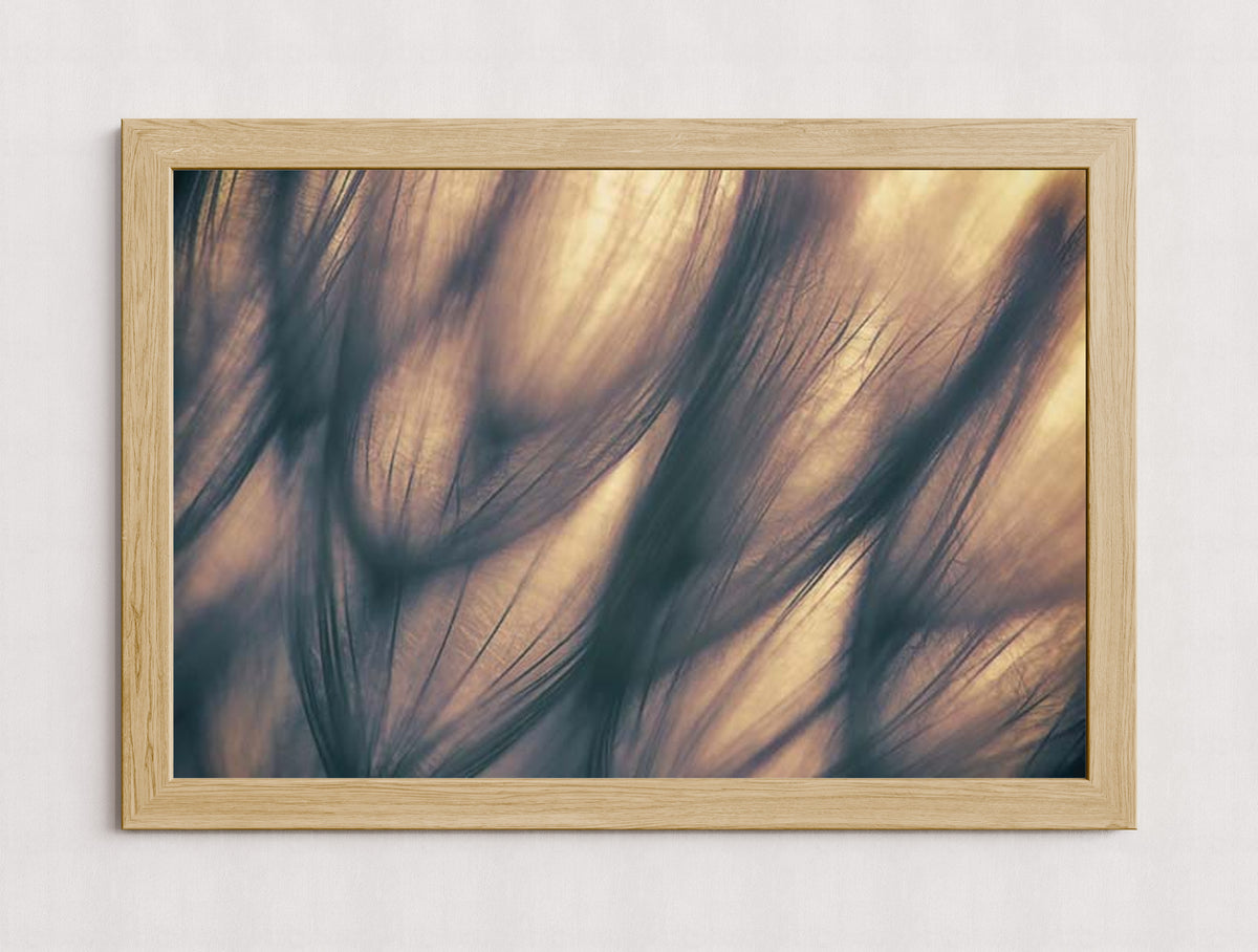 MPPR-WODF-ACRL-0000-36X24-P01-9998-260904-1XXXX2-018701