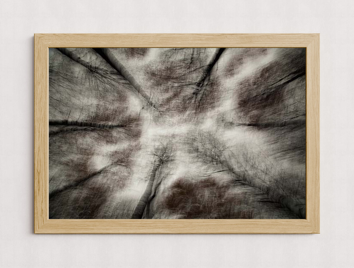 MPPR-WODF-ACRL-0000-36X24-P01-9998-260904-1XXXX2-018801