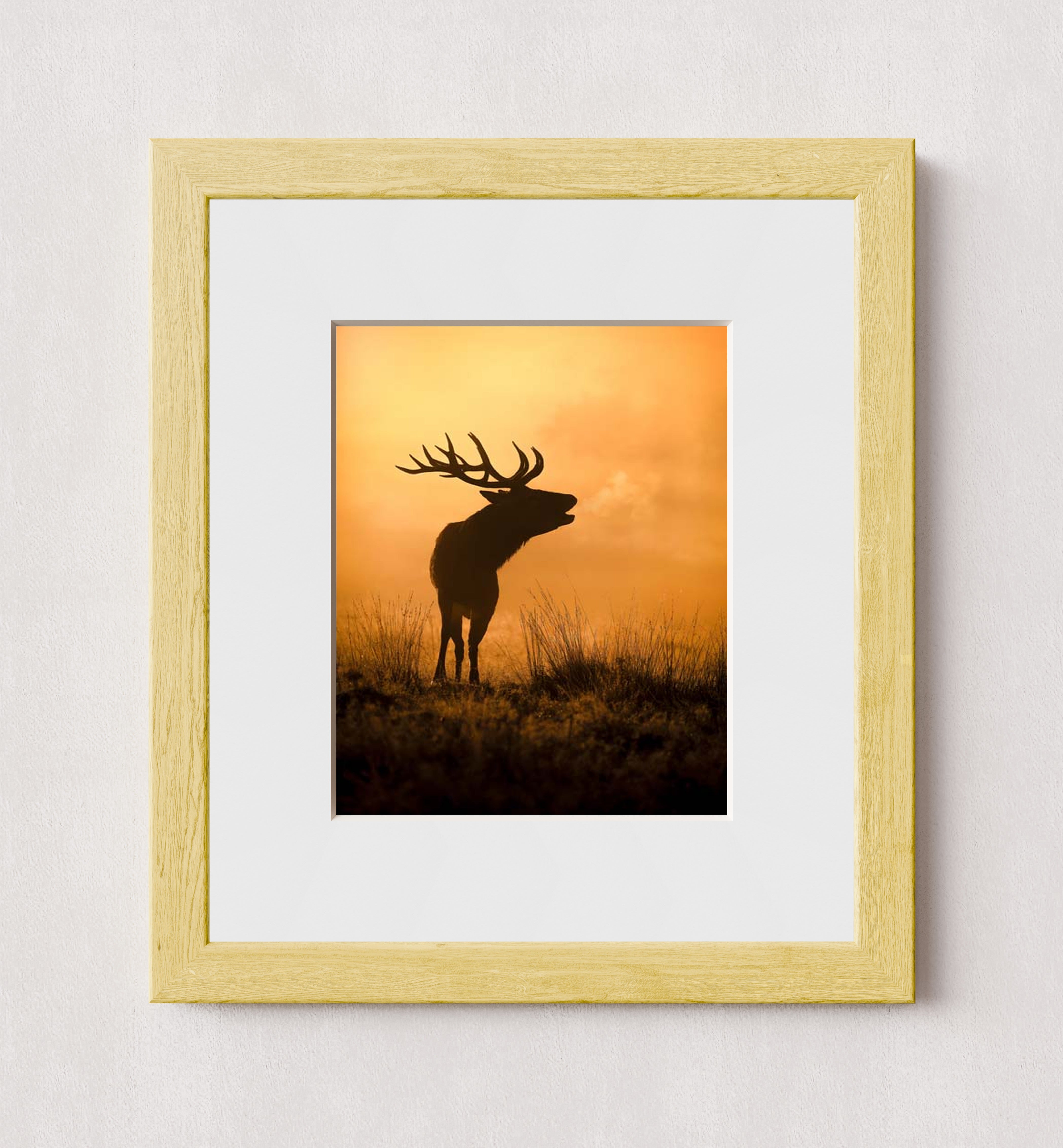 MPPR-WODF-ACRL-MAT2-08X10-P01-0189-240806-1XXXXX-079401