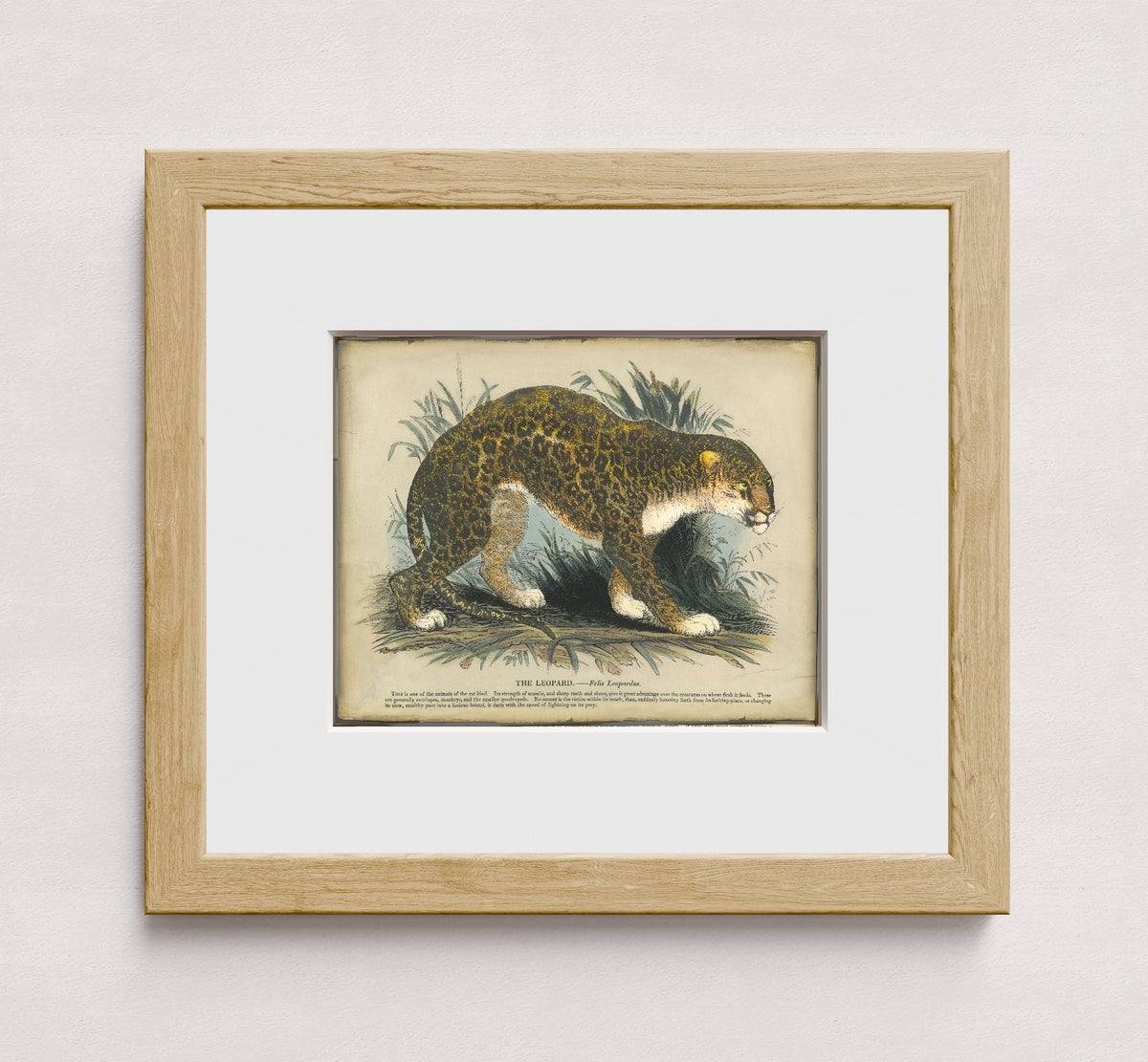MPPR-WODF-ACRL-MAT2-10X08-P00-0214-250520-PICOLX-001801