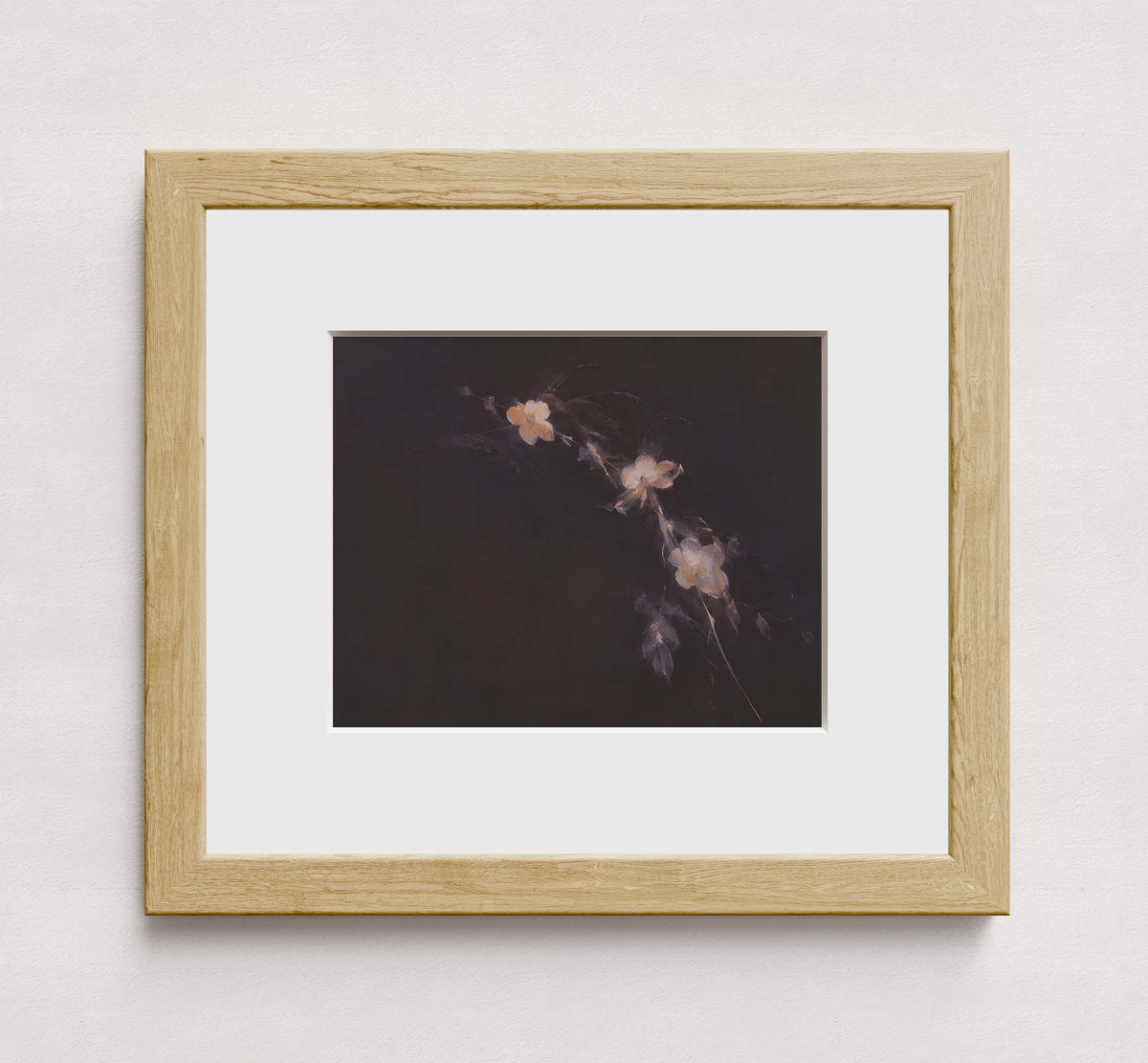 MPPR-WODF-ACRL-MAT2-10X08-P01-0184-260704-IREORL-061201