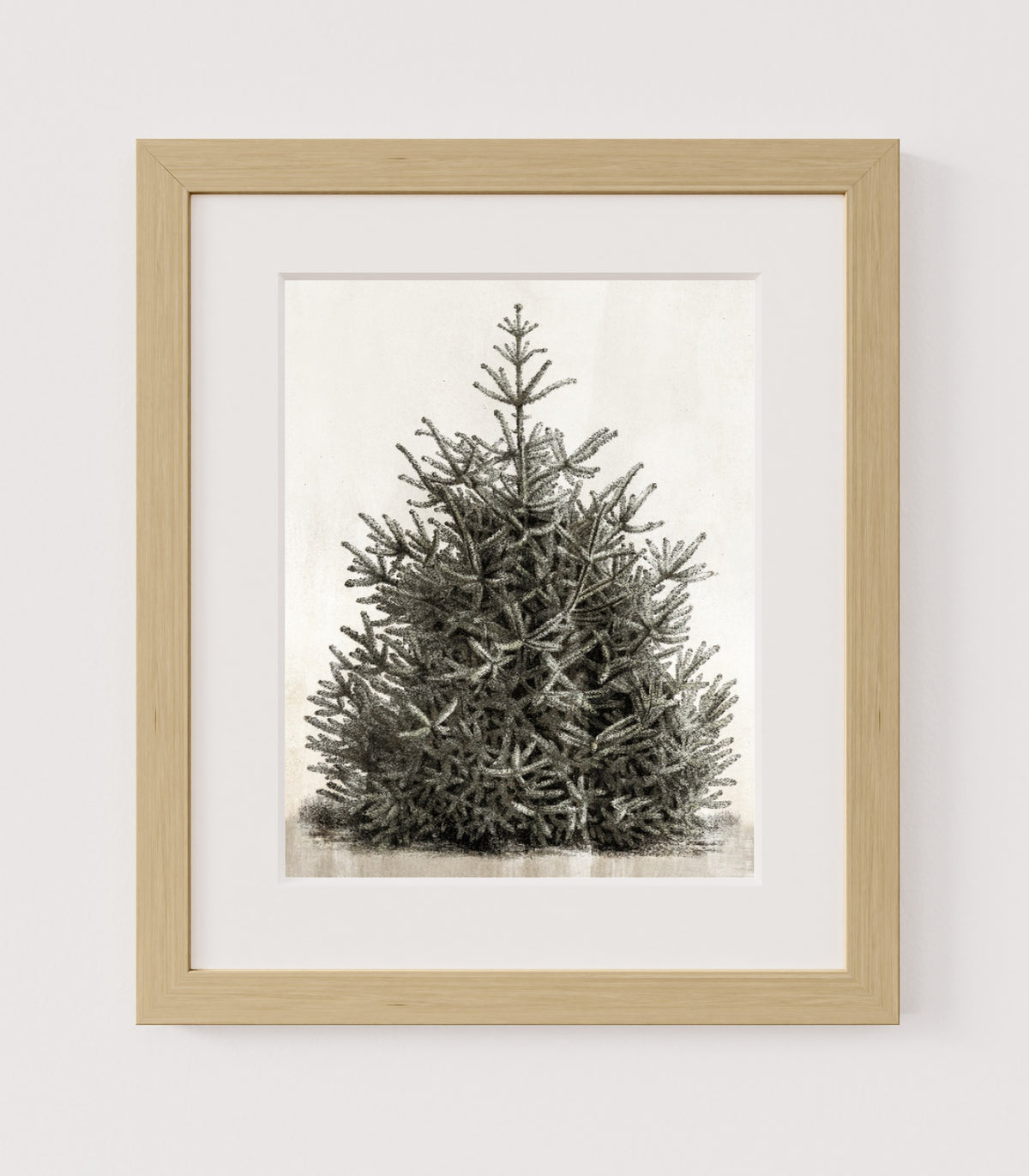 MPPR-WODF-ACRL-MAT2-11X14-P00-0107-210126-PISTUX-017101