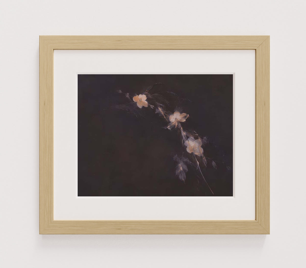 MPPR-WODF-ACRL-MAT2-14X11-P01-0184-260704-IREORL-061201