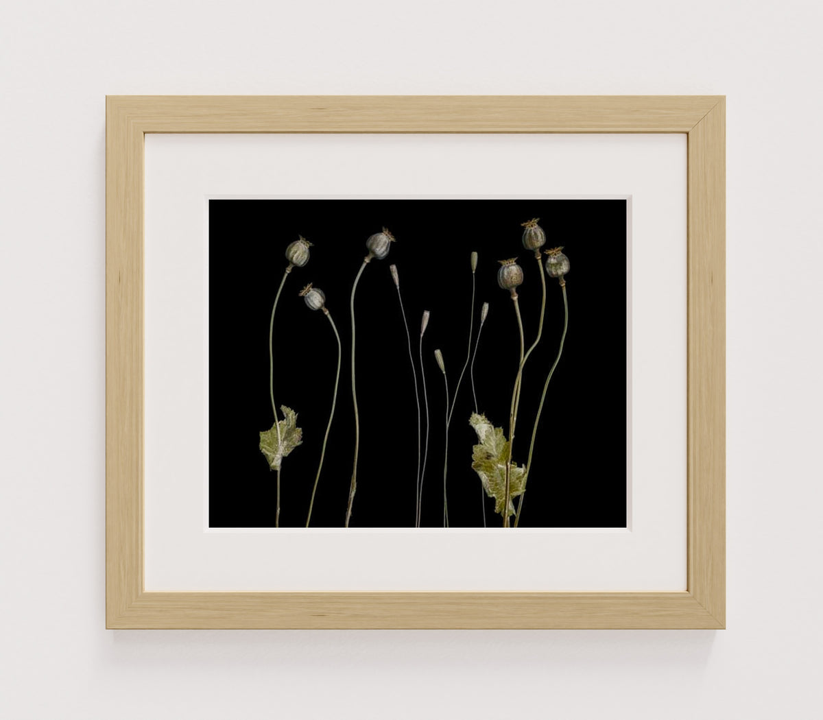 MPPR-WODF-ACRL-MAT2-14X11-P01-0189-210419-1XXXXX-009101