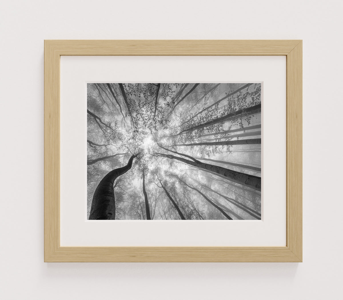 MPPR-WODF-ACRL-MAT2-14X11-P01-9998-260904-1XXXX2-018301