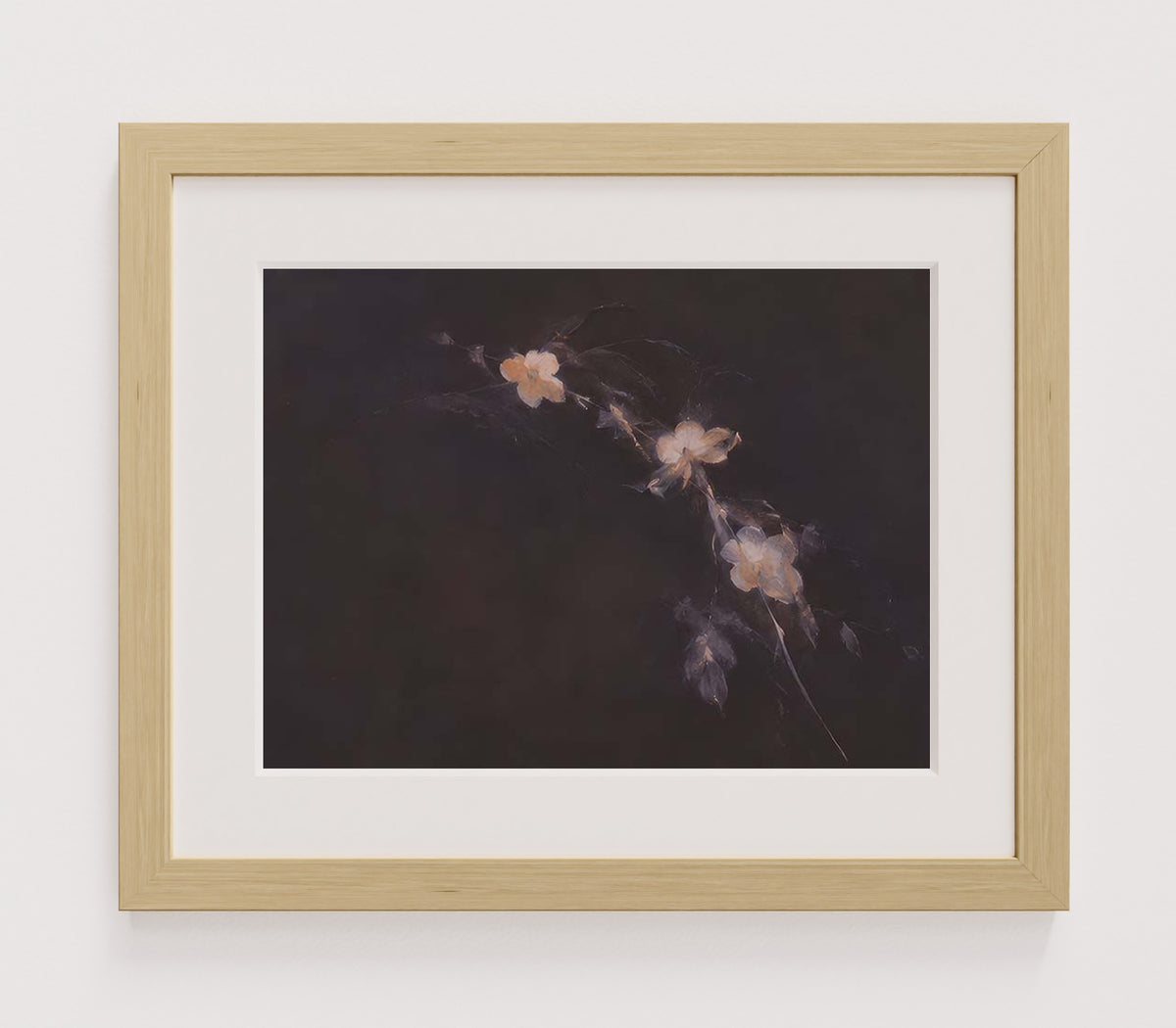 MPPR-WODF-ACRL-MAT2-16X12-P01-0184-260704-IREORL-061201