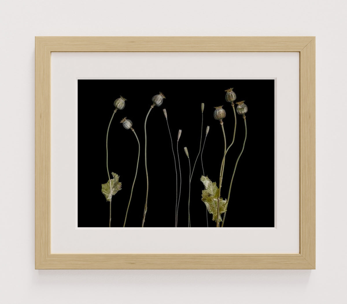 MPPR-WODF-ACRL-MAT2-16X12-P01-0189-210419-1XXXXX-009101