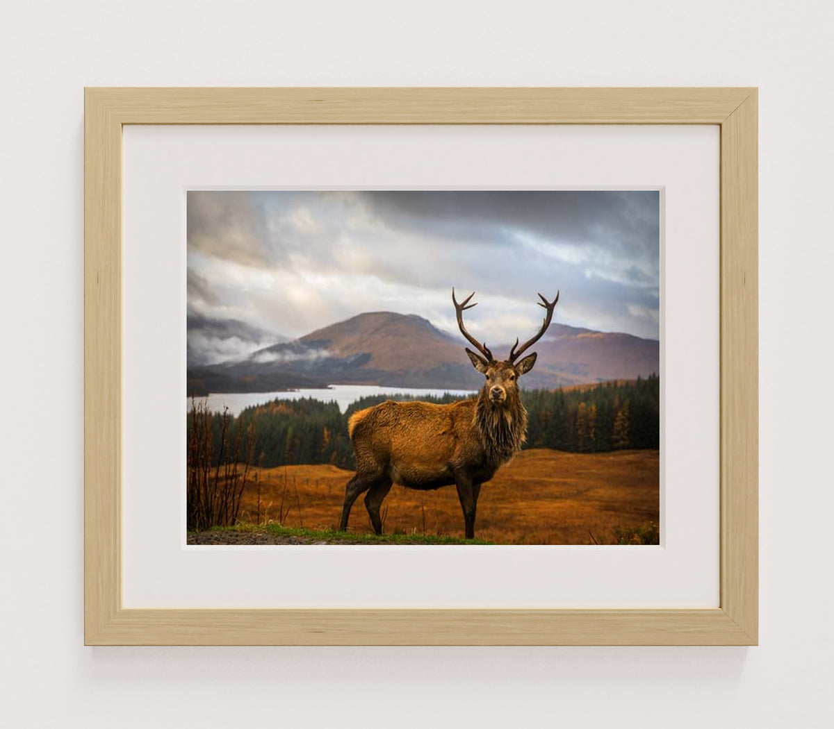MPPR-WODF-ACRL-MAT2-16X12-P01-0190-260602-1XXXXX-170401