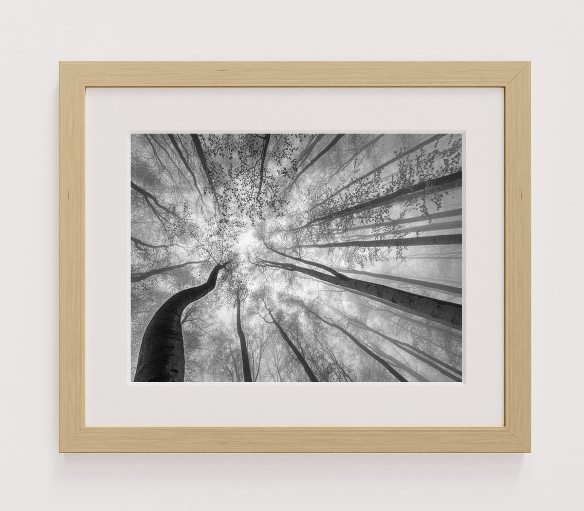 MPPR-WODF-ACRL-MAT2-16X12-P01-9998-260904-1XXXX2-018301