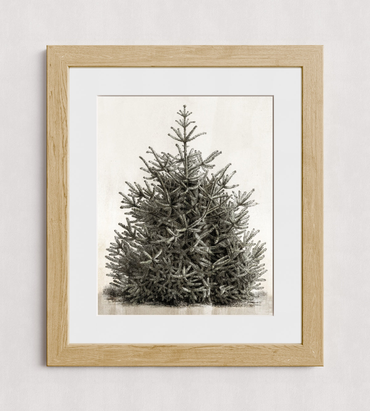 MPPR-WODF-ACRL-MAT3-16X20-P00-0107-210126-PISTUX-017101