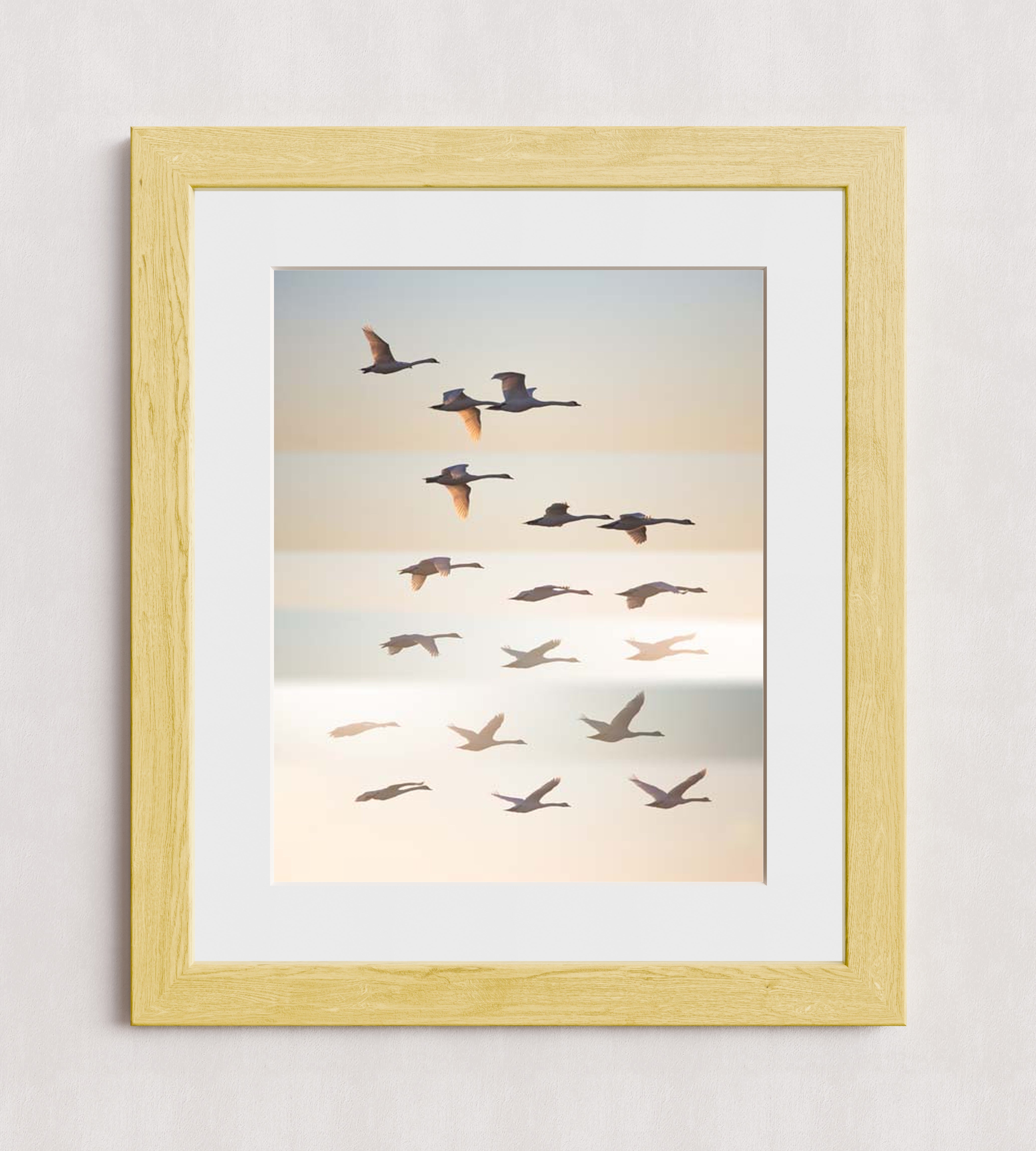 MPPR-WODF-ACRL-MAT3-16X20-P01-0190-260602-1XXXXX-171501