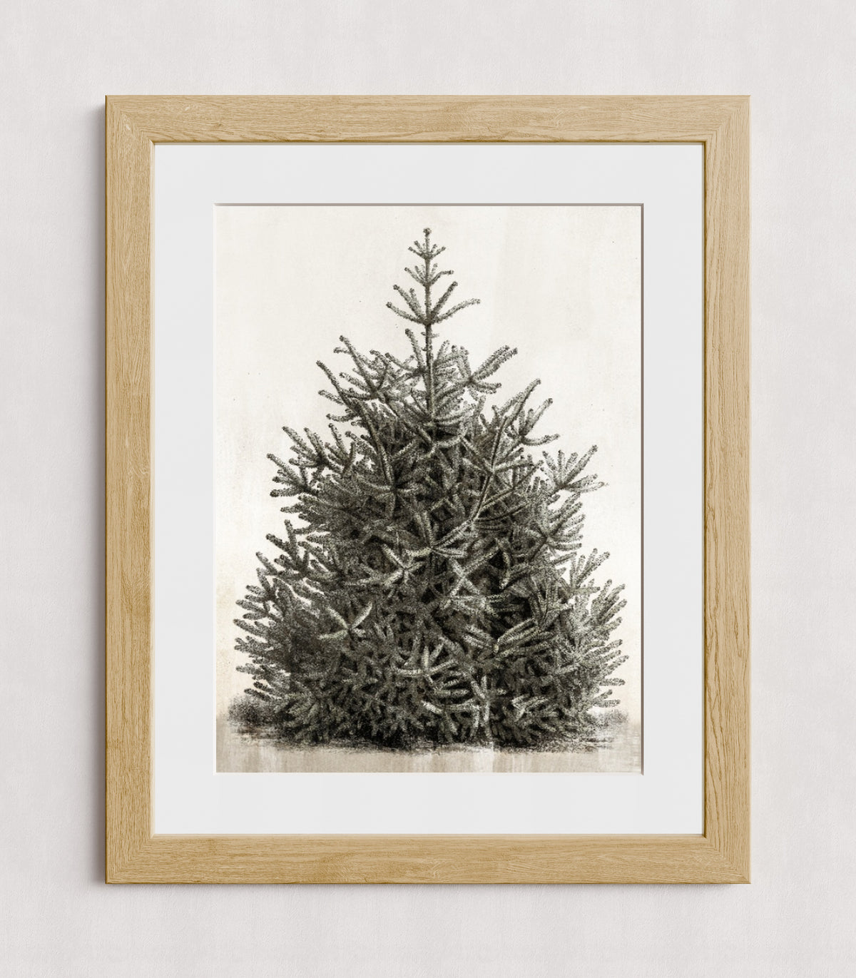 MPPR-WODF-ACRL-MAT3-18X24-P00-0107-210126-PISTUX-017101