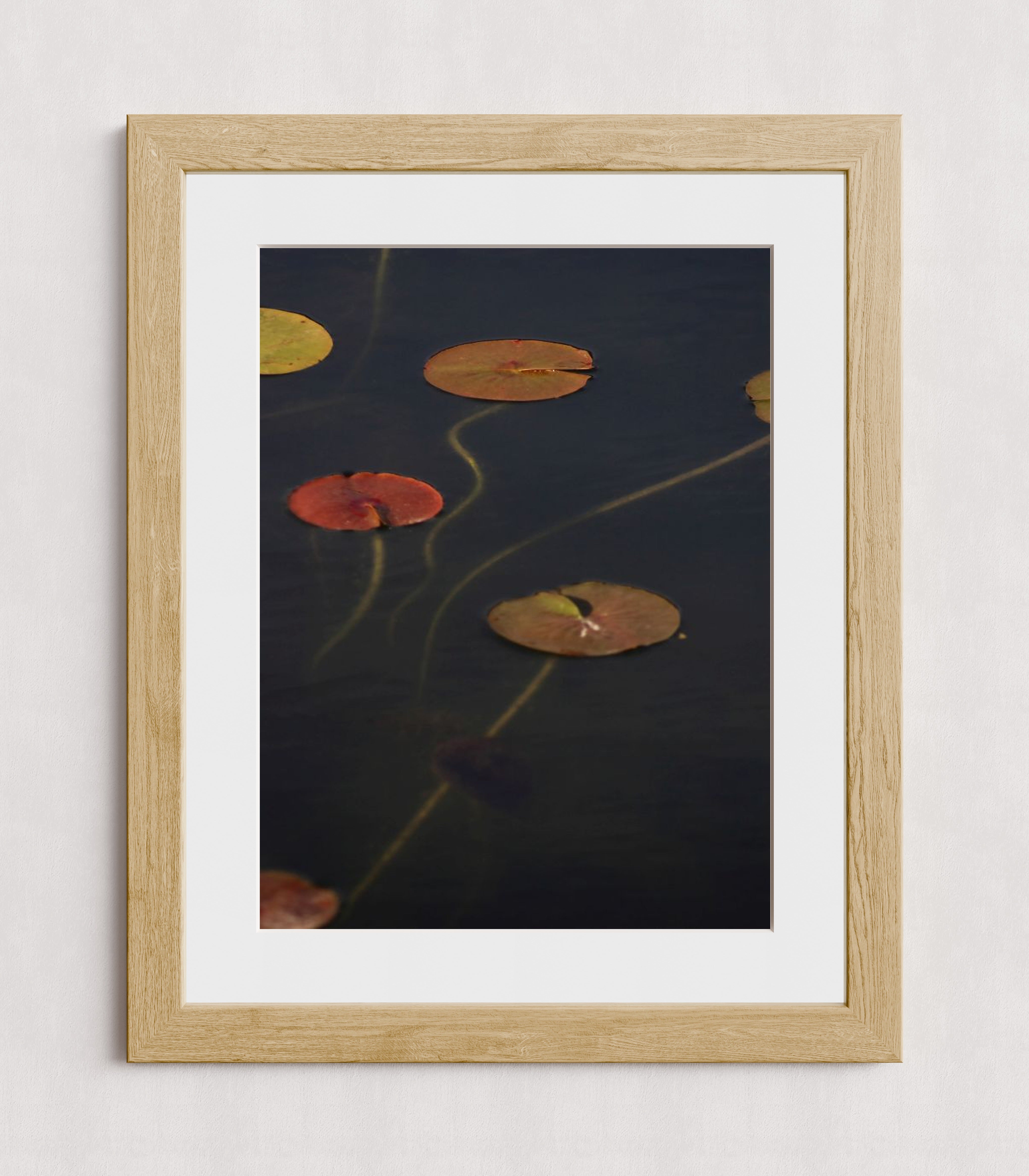 MPPR-WODF-ACRL-MAT3-18X24-P01-0175-110224-NORSTE-009301