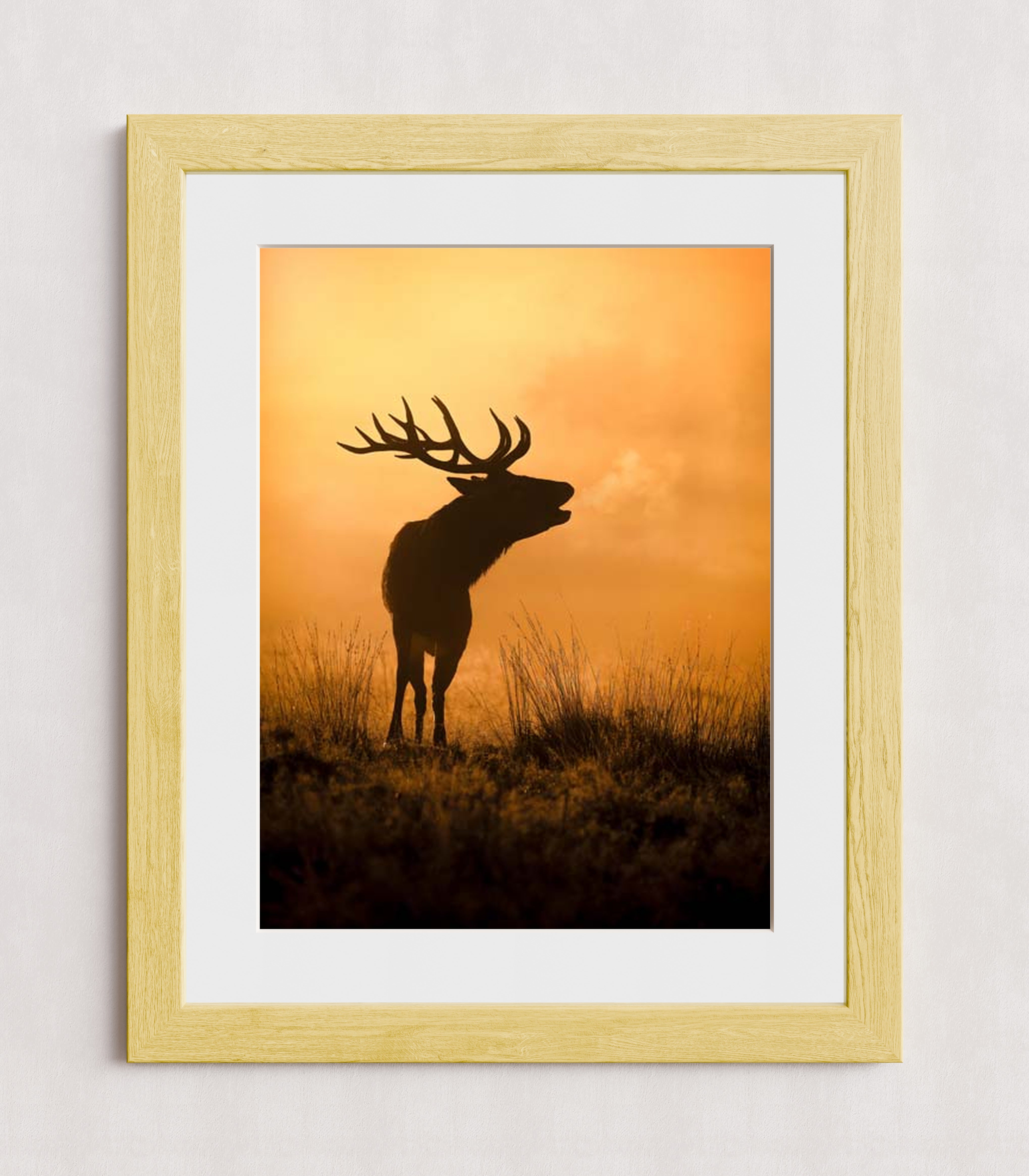 MPPR-WODF-ACRL-MAT3-18X24-P01-0189-240806-1XXXXX-079401