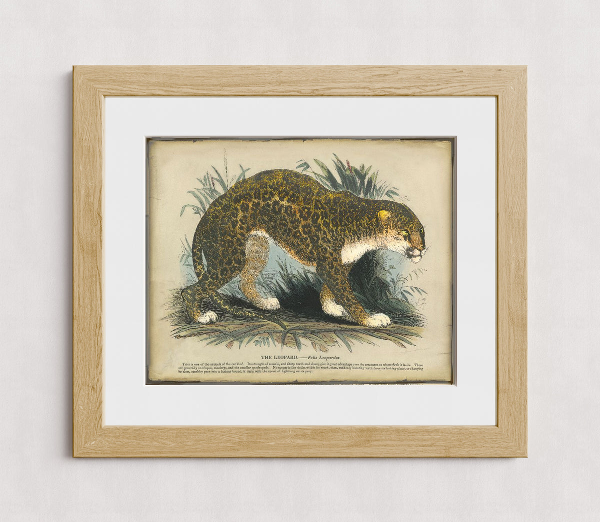 MPPR-WODF-ACRL-MAT3-20X16-P00-0214-250520-PICOLX-001801