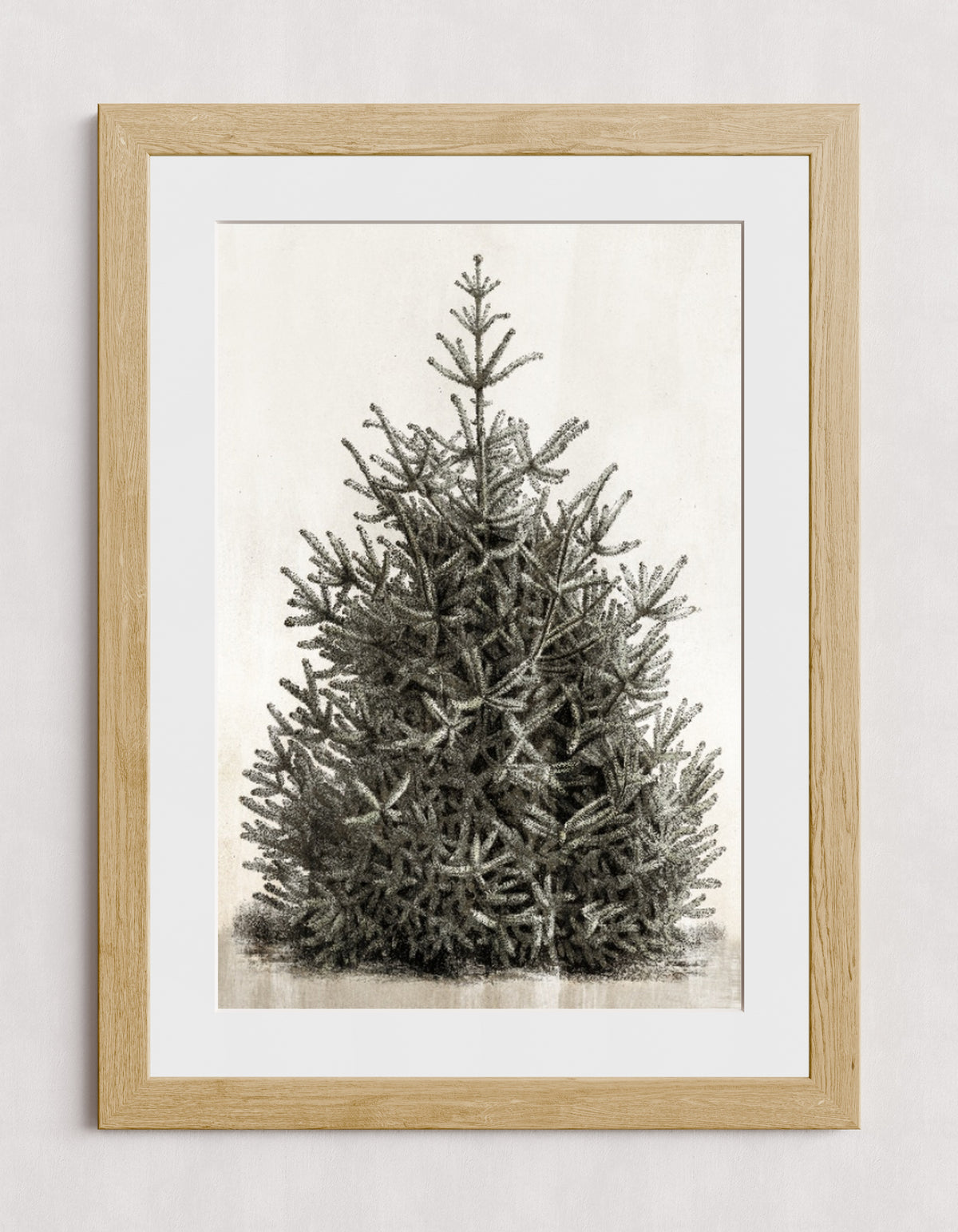 MPPR-WODF-ACRL-MAT3-20X30-P00-0107-210126-PISTUX-017101