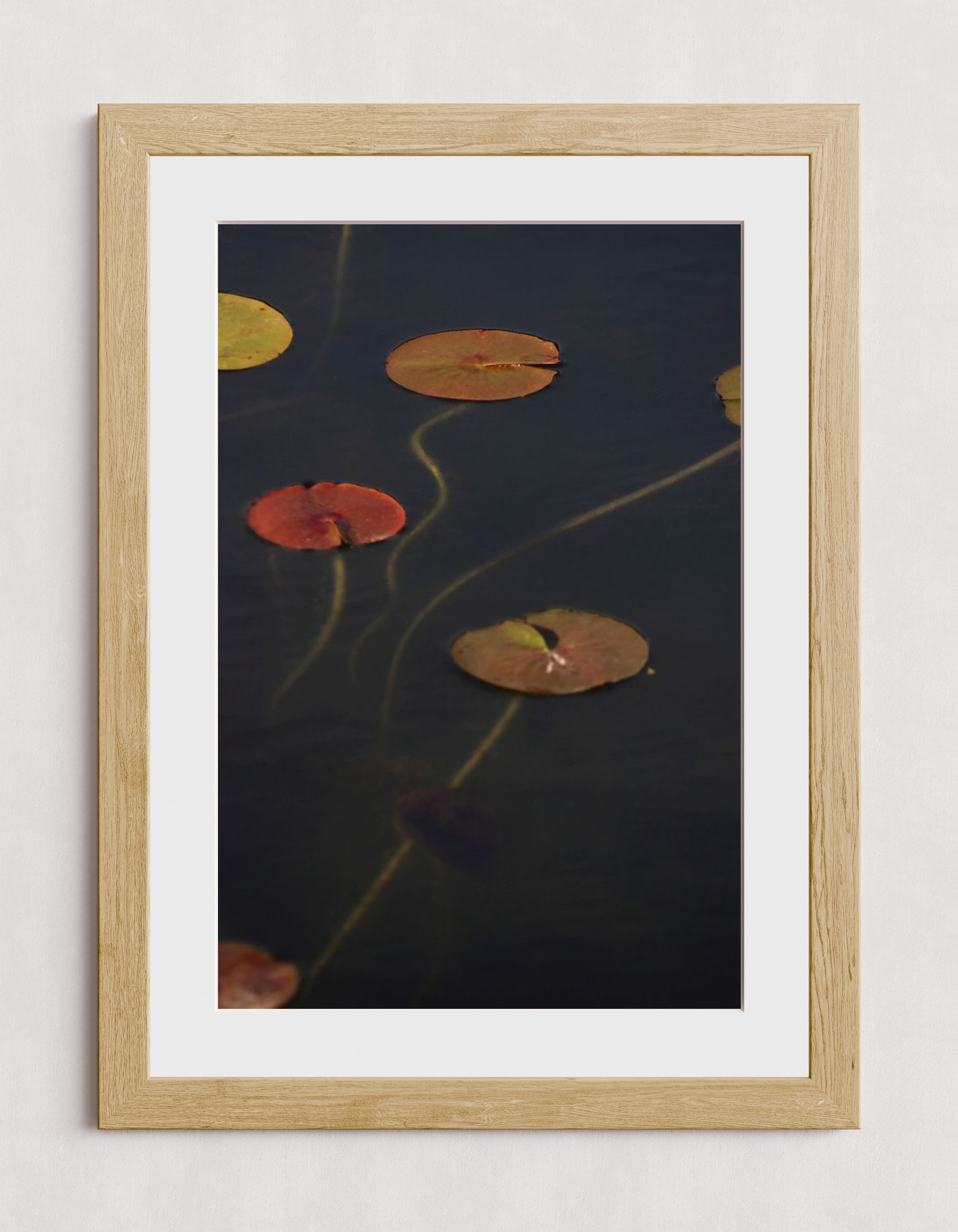 MPPR-WODF-ACRL-MAT3-20X30-P01-0175-110224-NORSTE-009301
