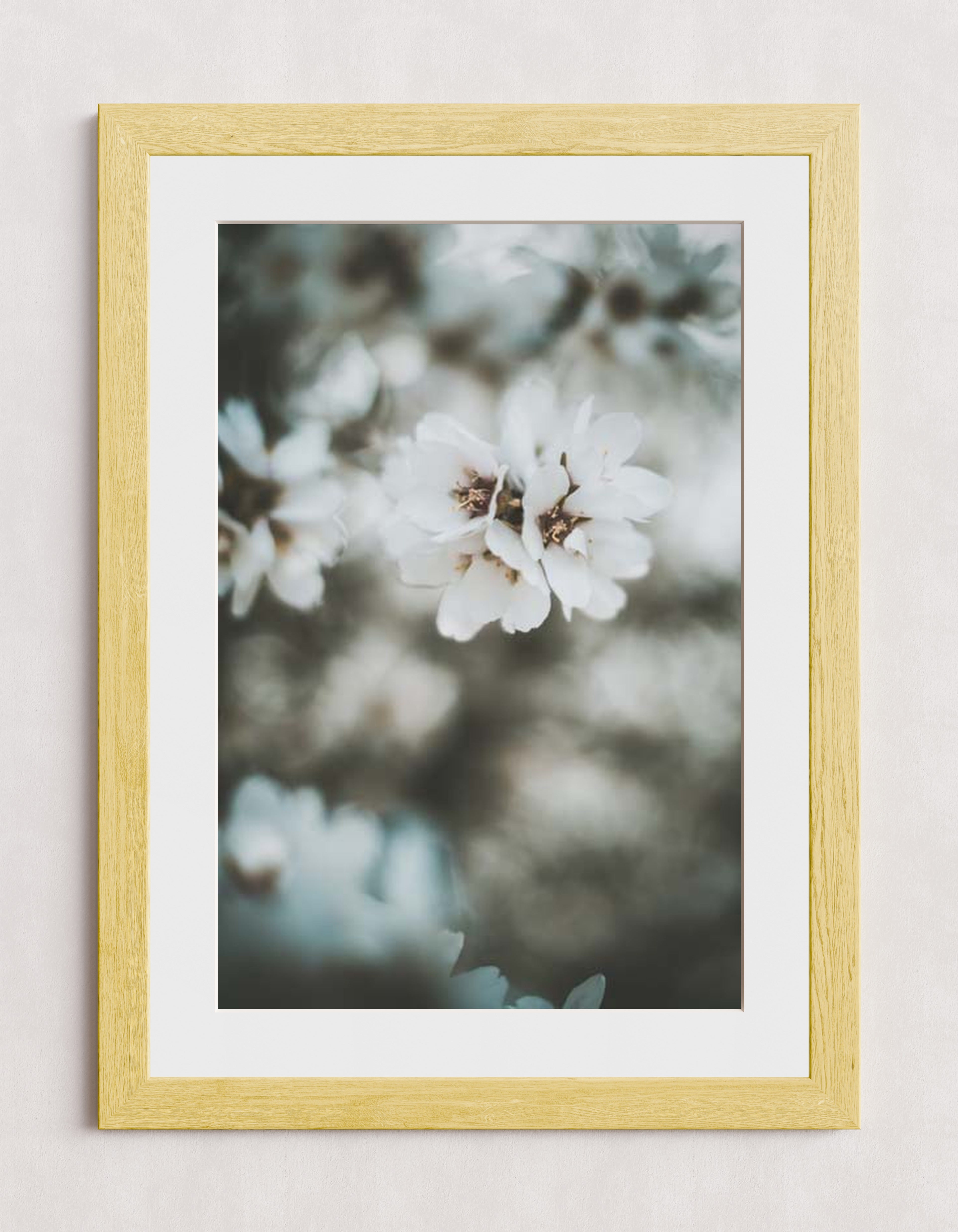 MPPR-WODF-ACRL-MAT3-20X30-P01-0189-230406-1XXXXX-054601
