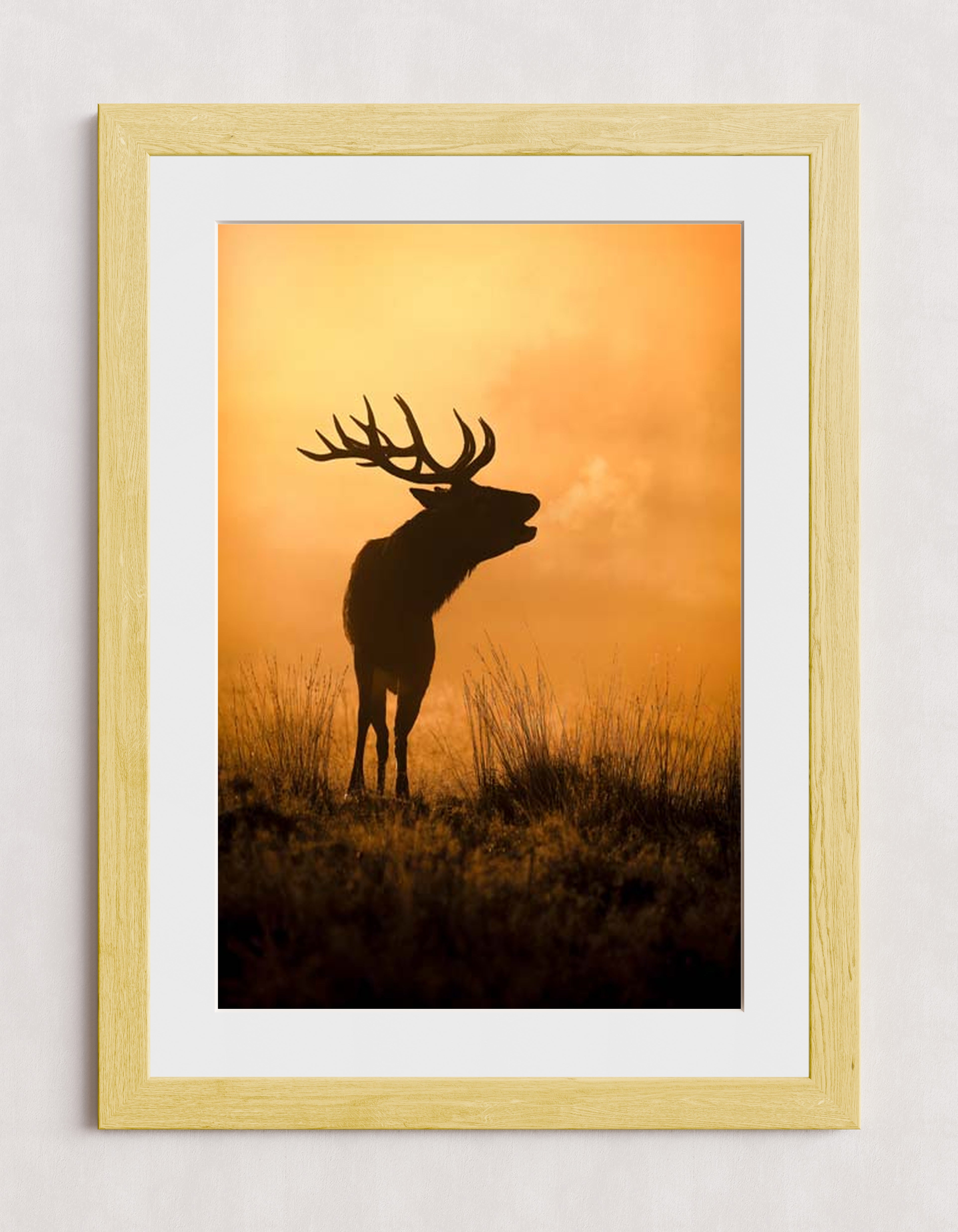 MPPR-WODF-ACRL-MAT3-20X30-P01-0189-240806-1XXXXX-079401