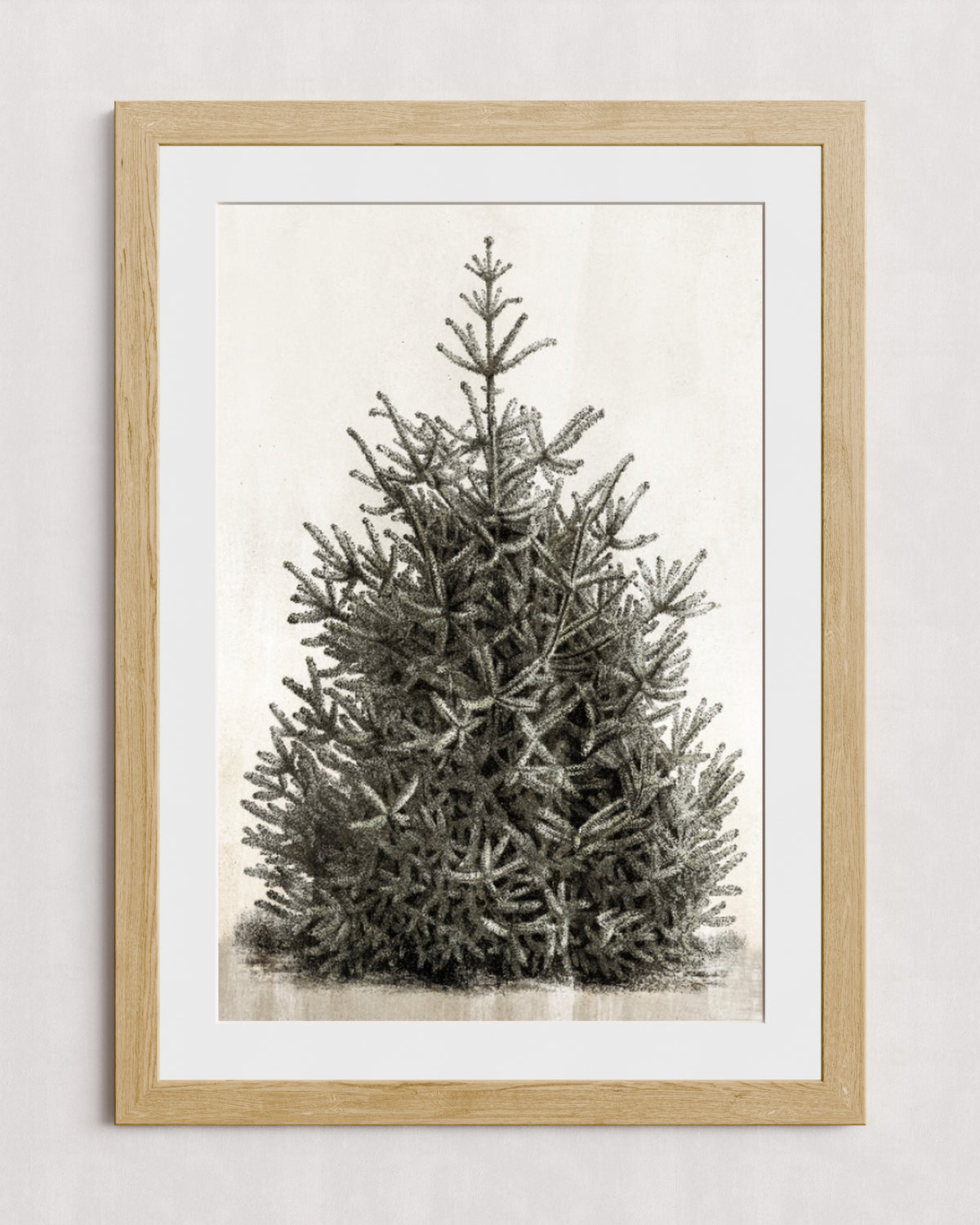 MPPR-WODF-ACRL-MAT3-24X36-P00-0107-210126-PISTUX-017101