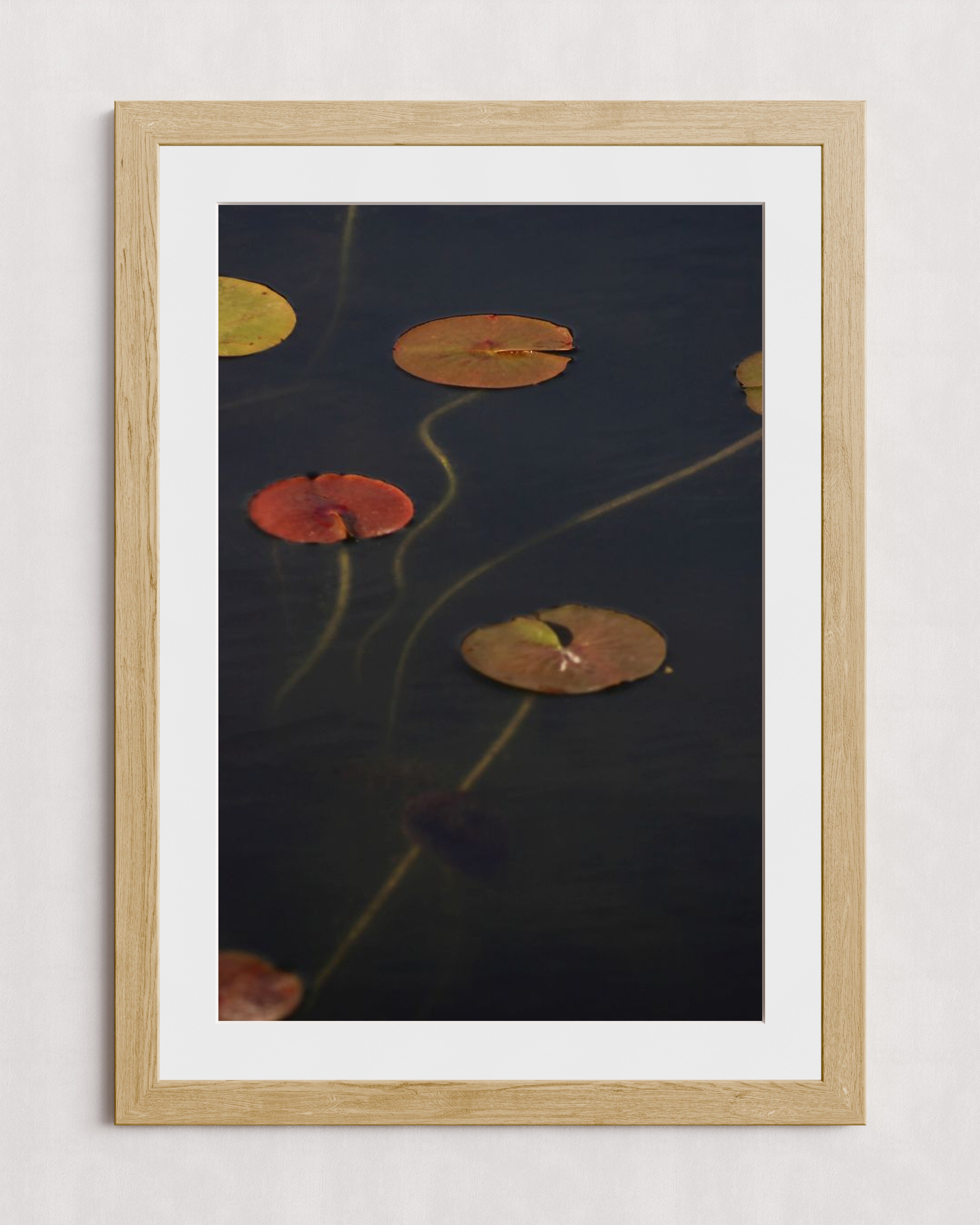 MPPR-WODF-ACRL-MAT3-24X36-P01-0175-110224-NORSTE-009301