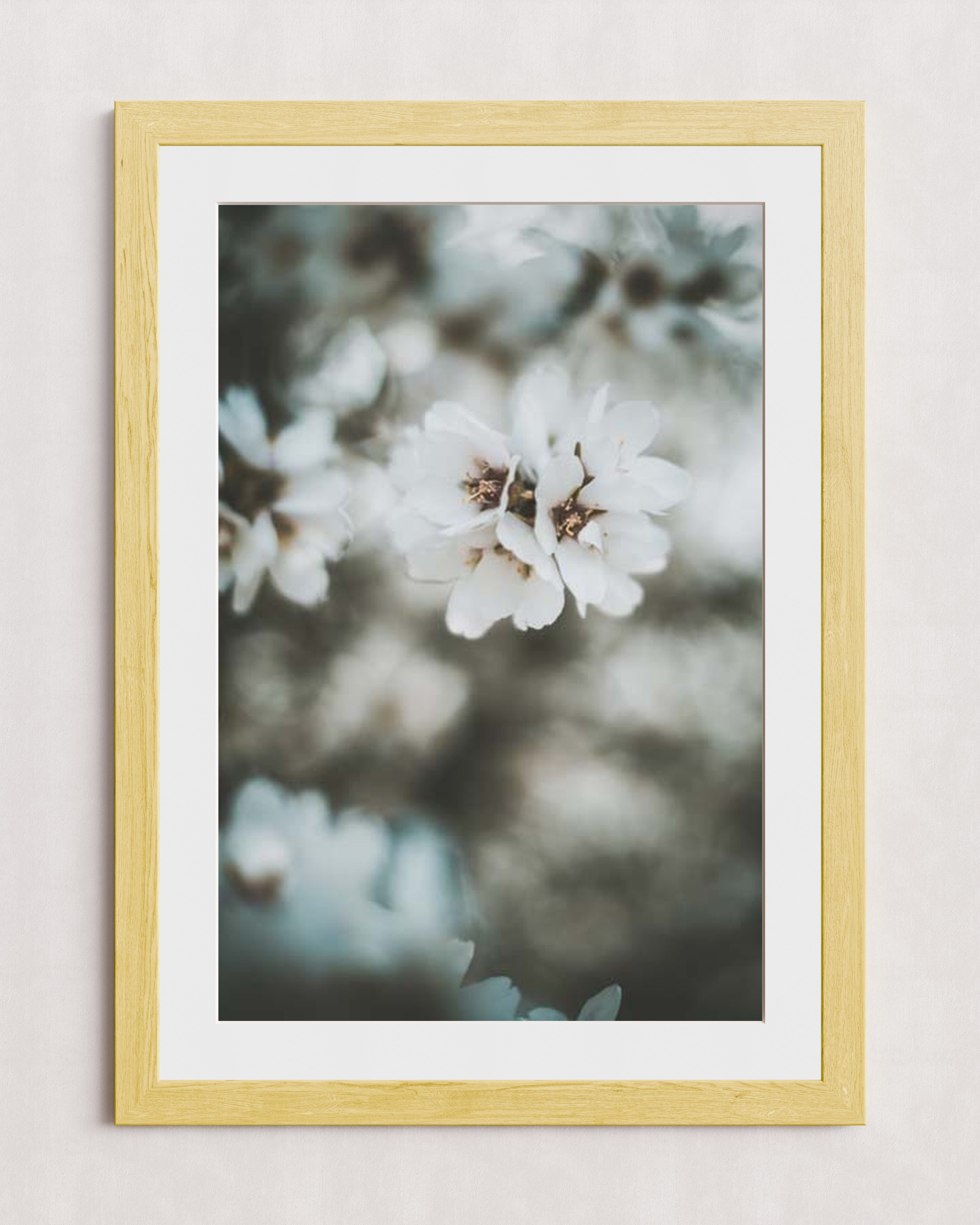 MPPR-WODF-ACRL-MAT3-24X36-P01-0189-230406-1XXXXX-054601