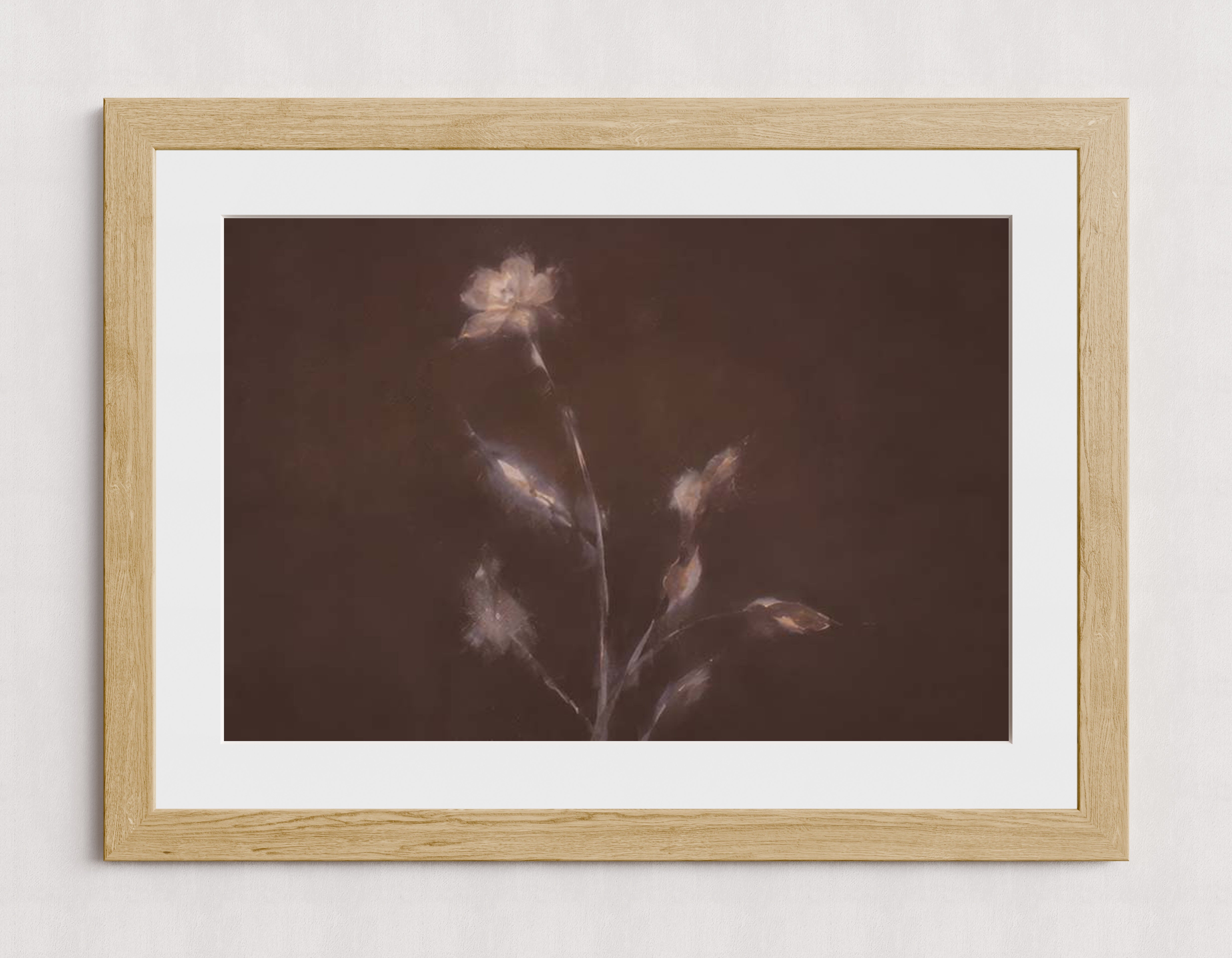 MPPR-WODF-ACRL-MAT3-30X20-P01-0184-260704-IREORL-061101
