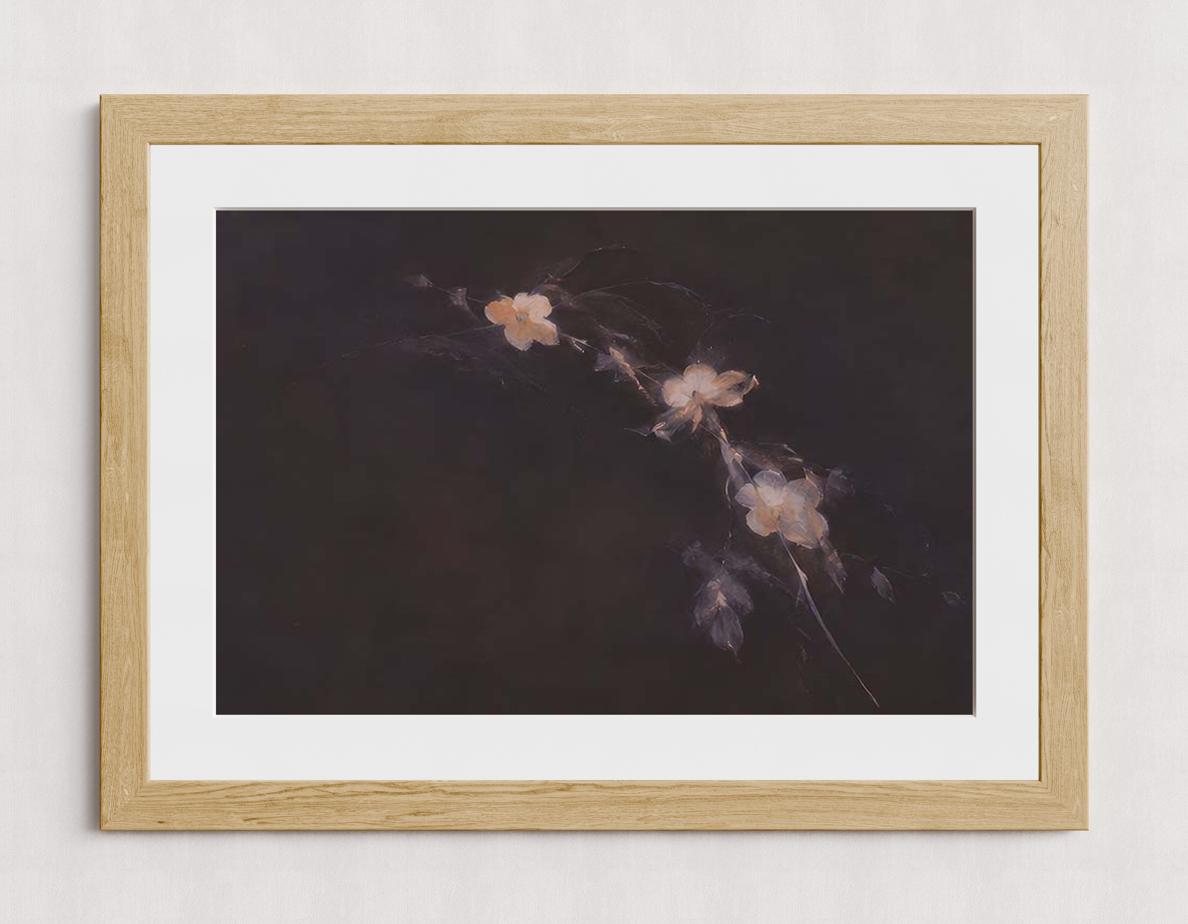 MPPR-WODF-ACRL-MAT3-30X20-P01-0184-260704-IREORL-061201