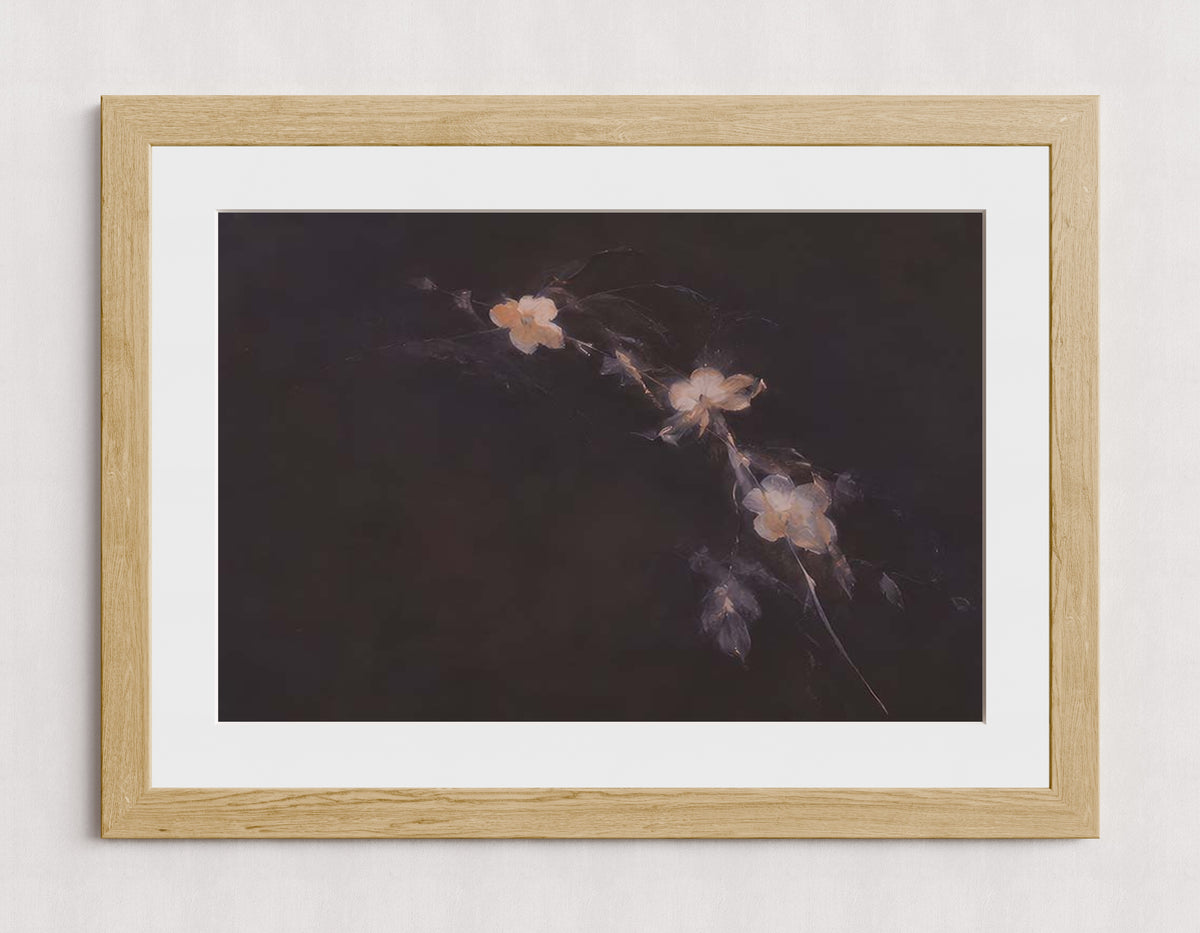 MPPR-WODF-ACRL-MAT3-30X20-P01-0184-260704-IREORL-061201