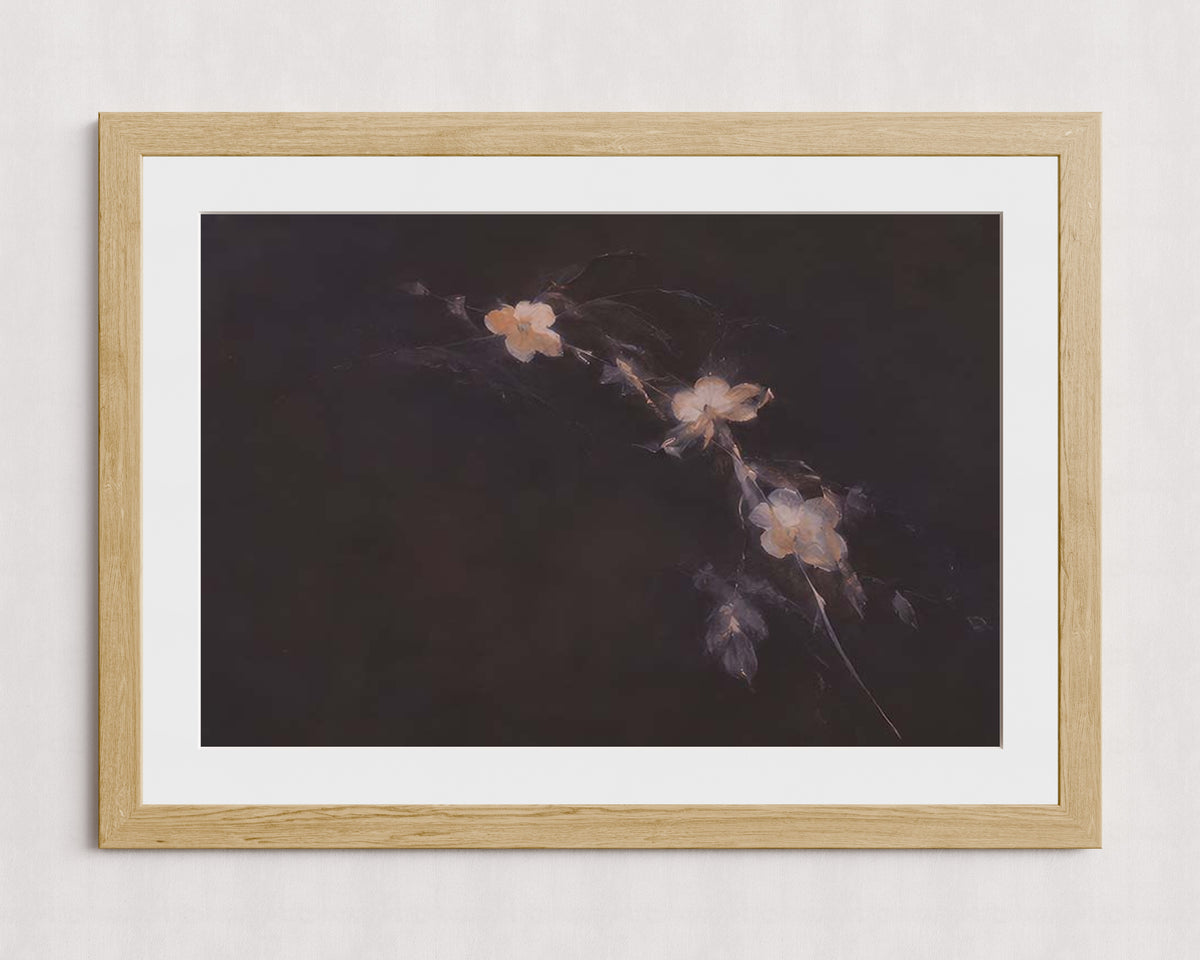 MPPR-WODF-ACRL-MAT3-36X24-P01-0184-260704-IREORL-061201