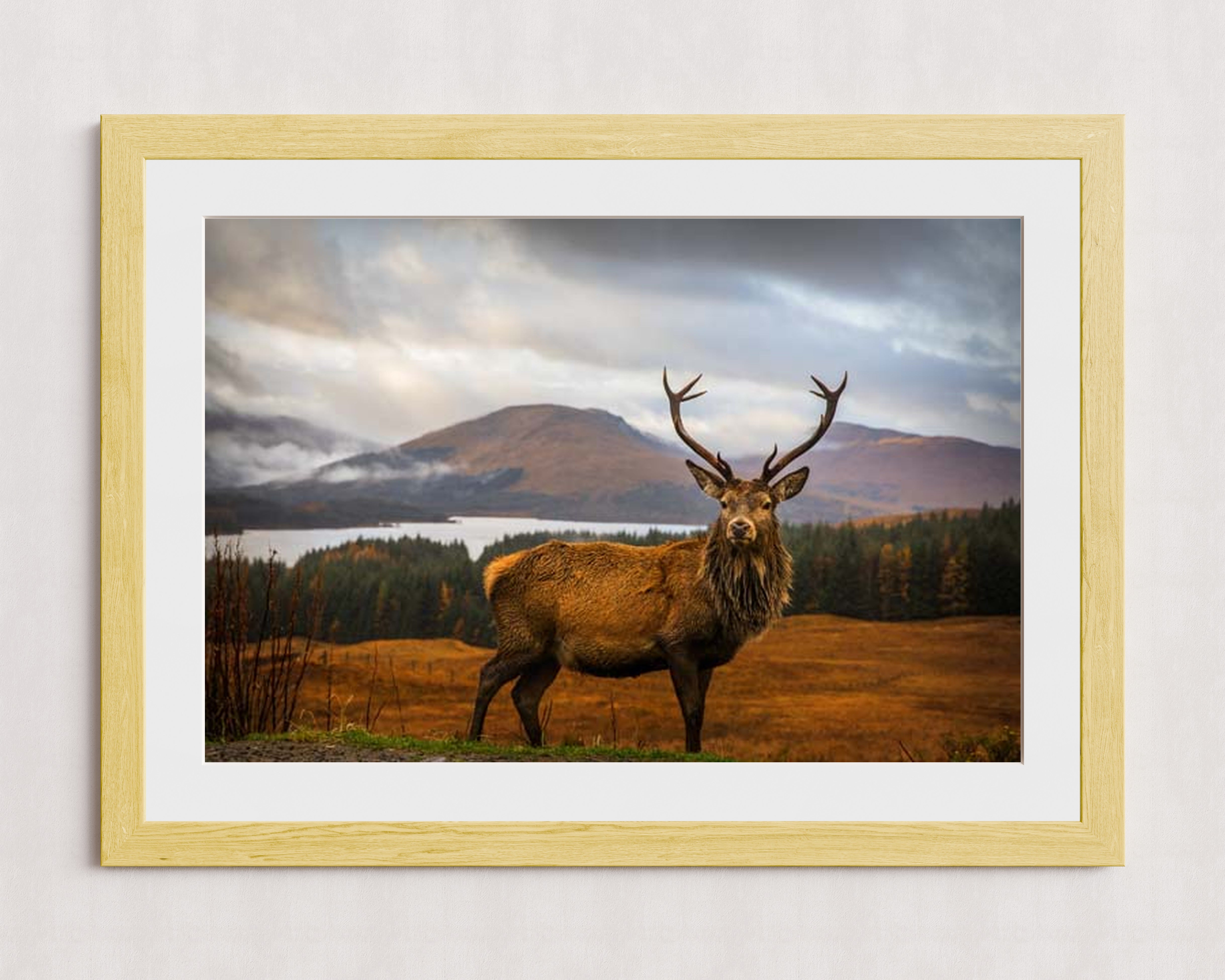 MPPR-WODF-ACRL-MAT3-36X24-P01-0190-260602-1XXXXX-170401
