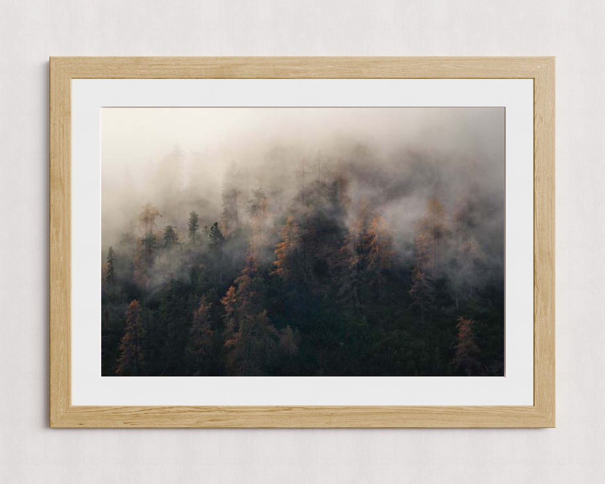 MPPR-WODF-ACRL-MAT3-36X24-P01-9998-260904-1XXXX2-018101