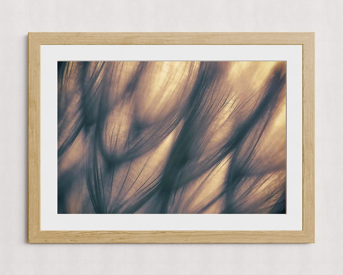 MPPR-WODF-ACRL-MAT3-36X24-P01-9998-260904-1XXXX2-018701