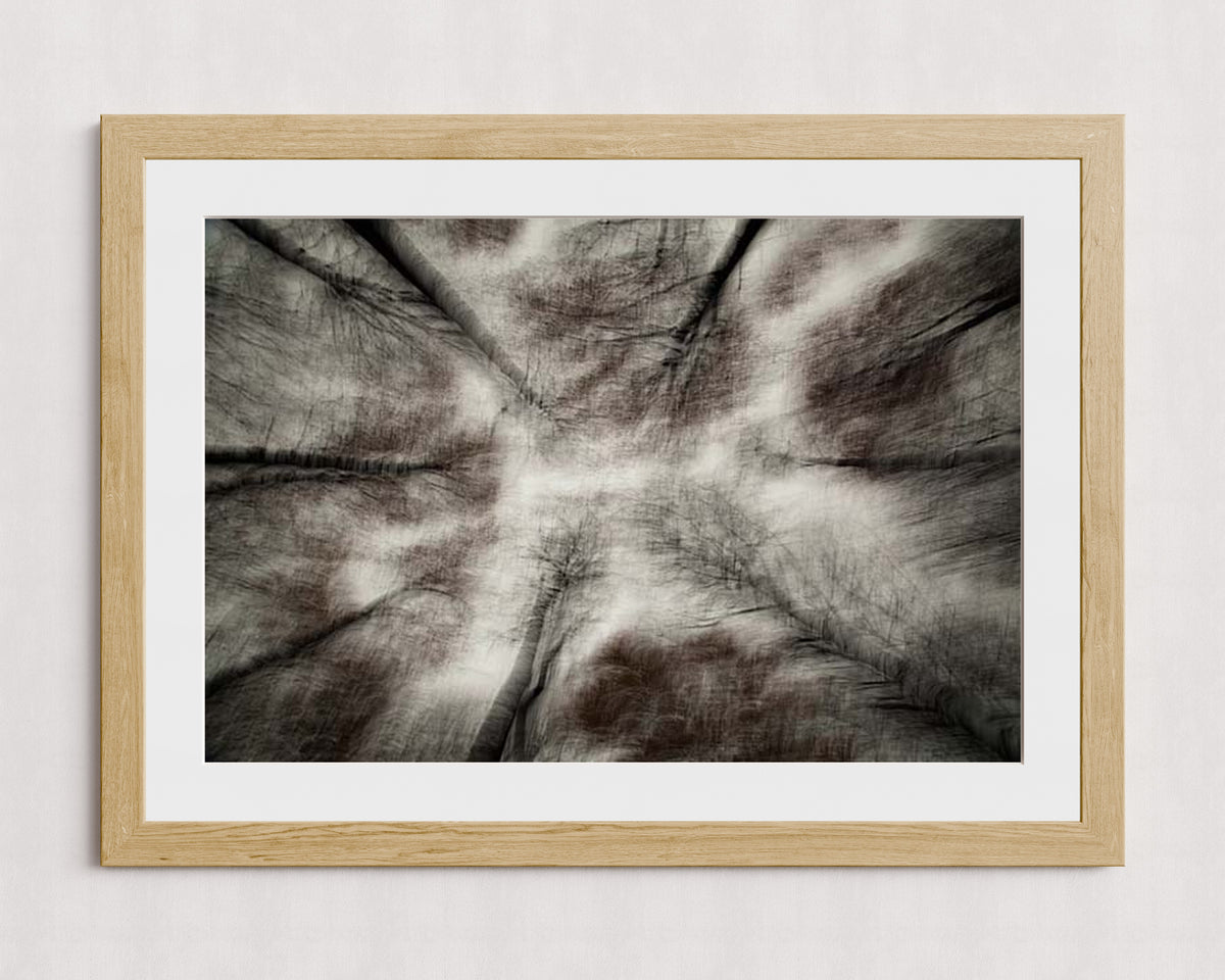MPPR-WODF-ACRL-MAT3-36X24-P01-9998-260904-1XXXX2-018801